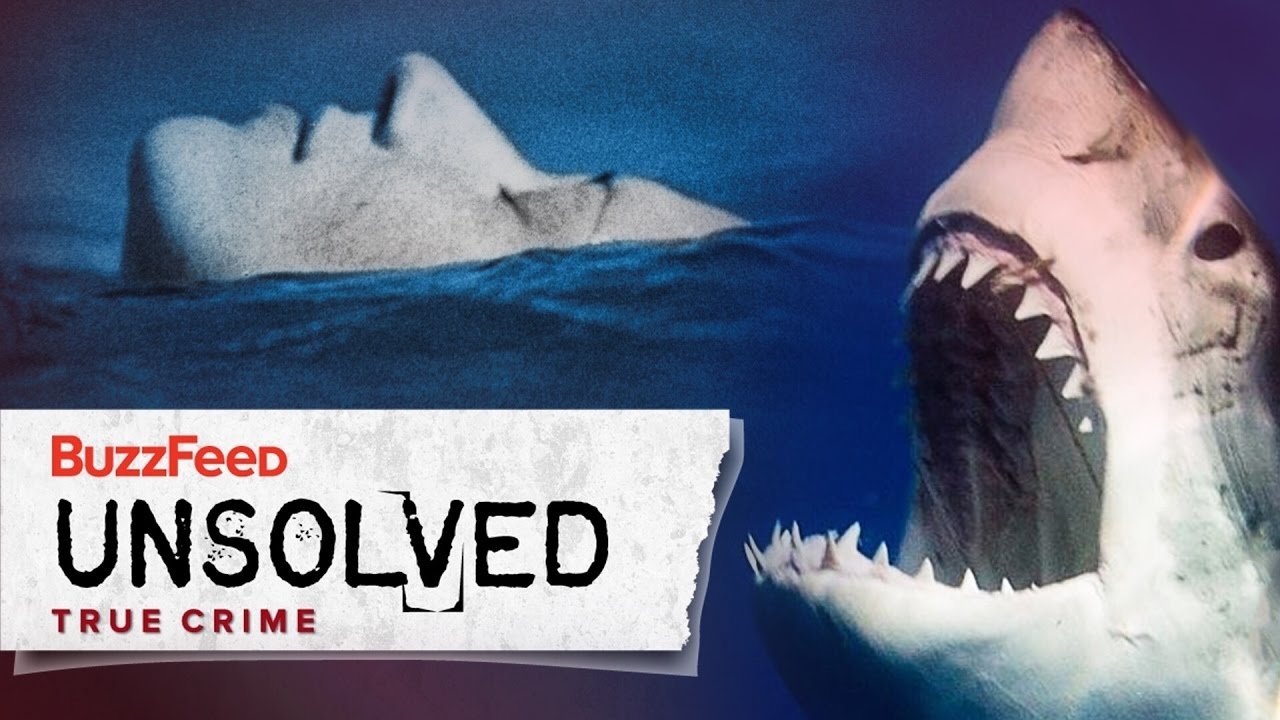 Backdrop poster for undefined