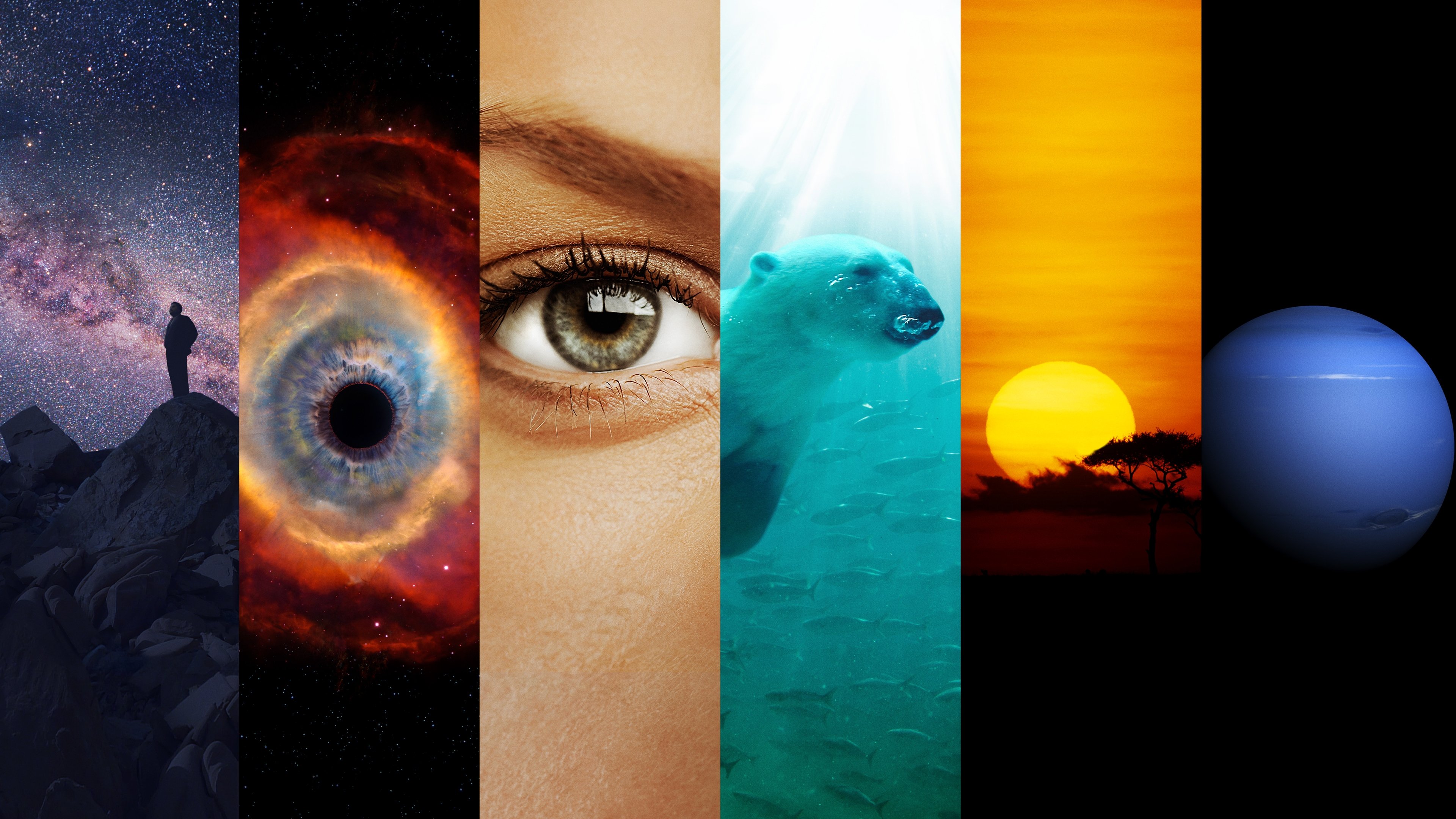 Backdrop poster for Cosmos (2014)