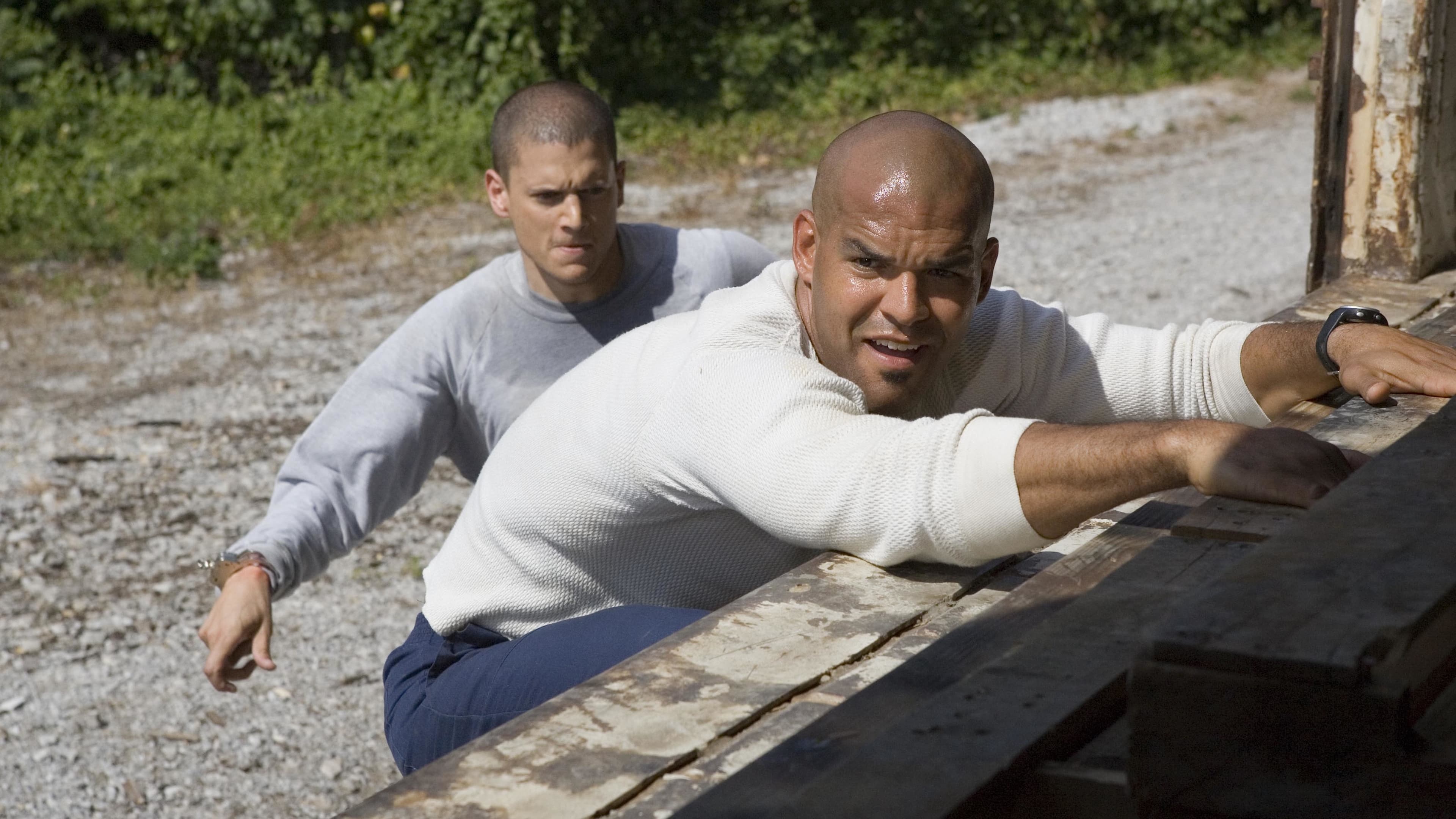 Backdrop poster for Prison Break (2005)