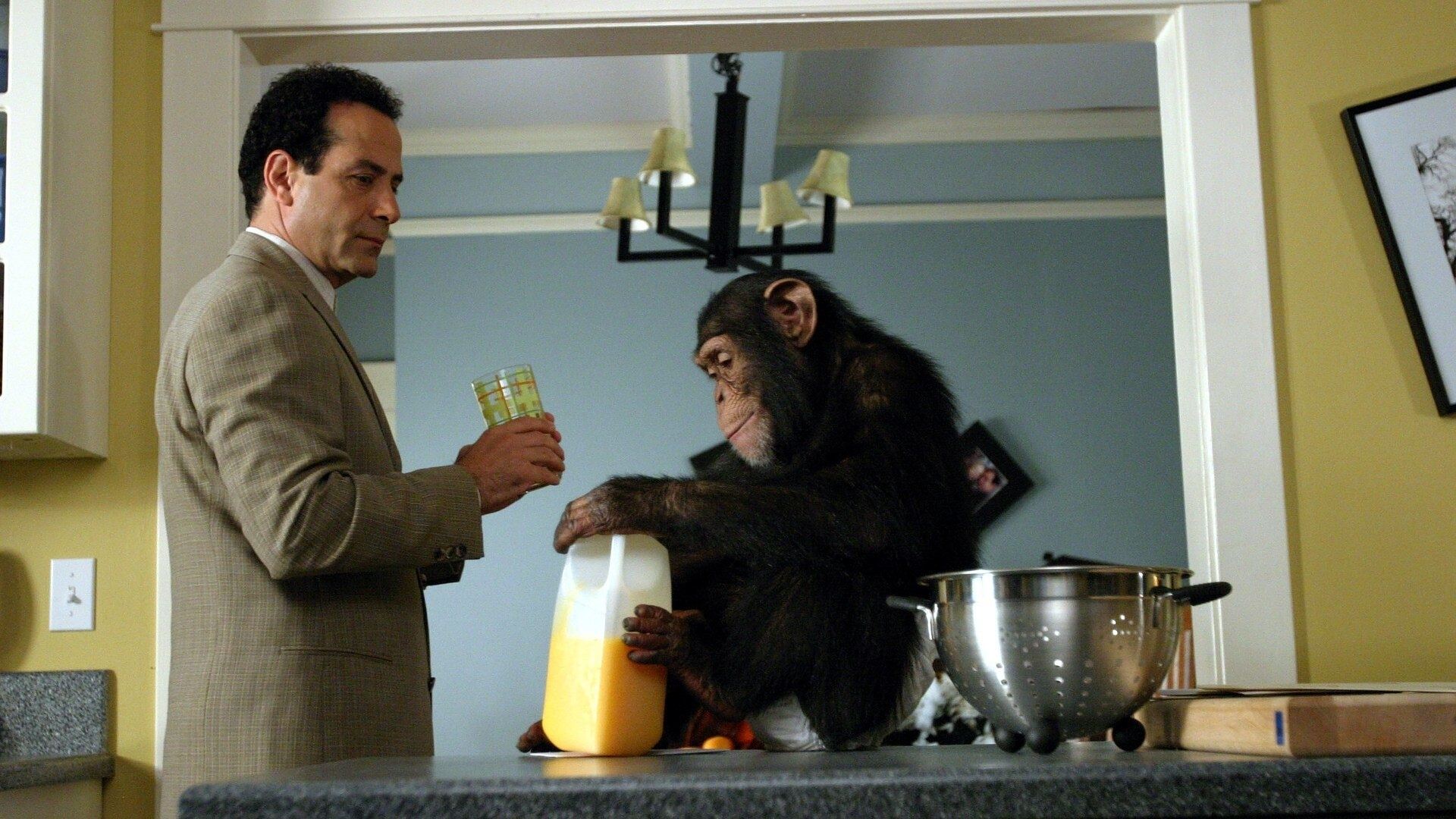Backdrop poster for Monk (2002)