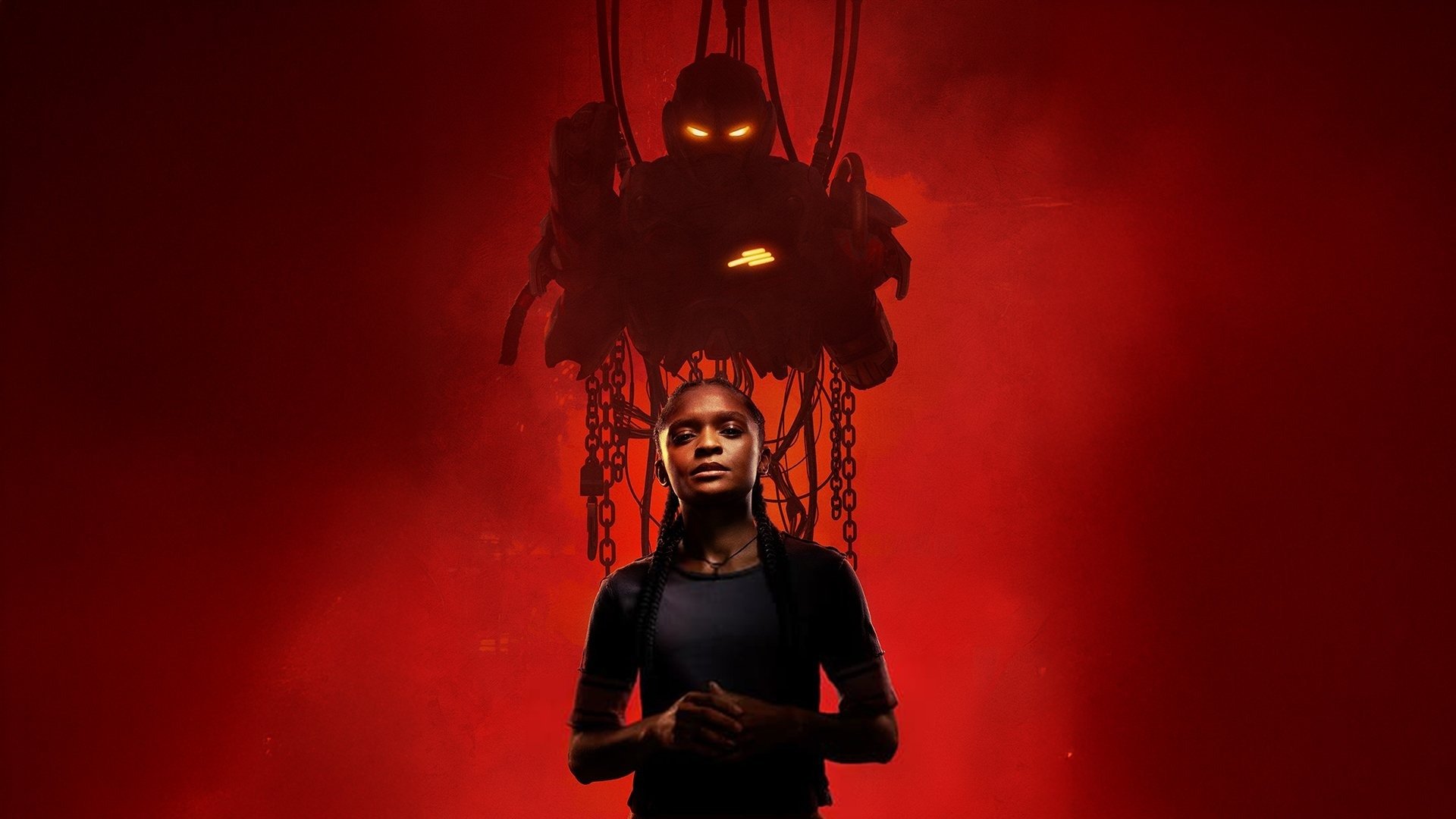 Backdrop poster for undefined
