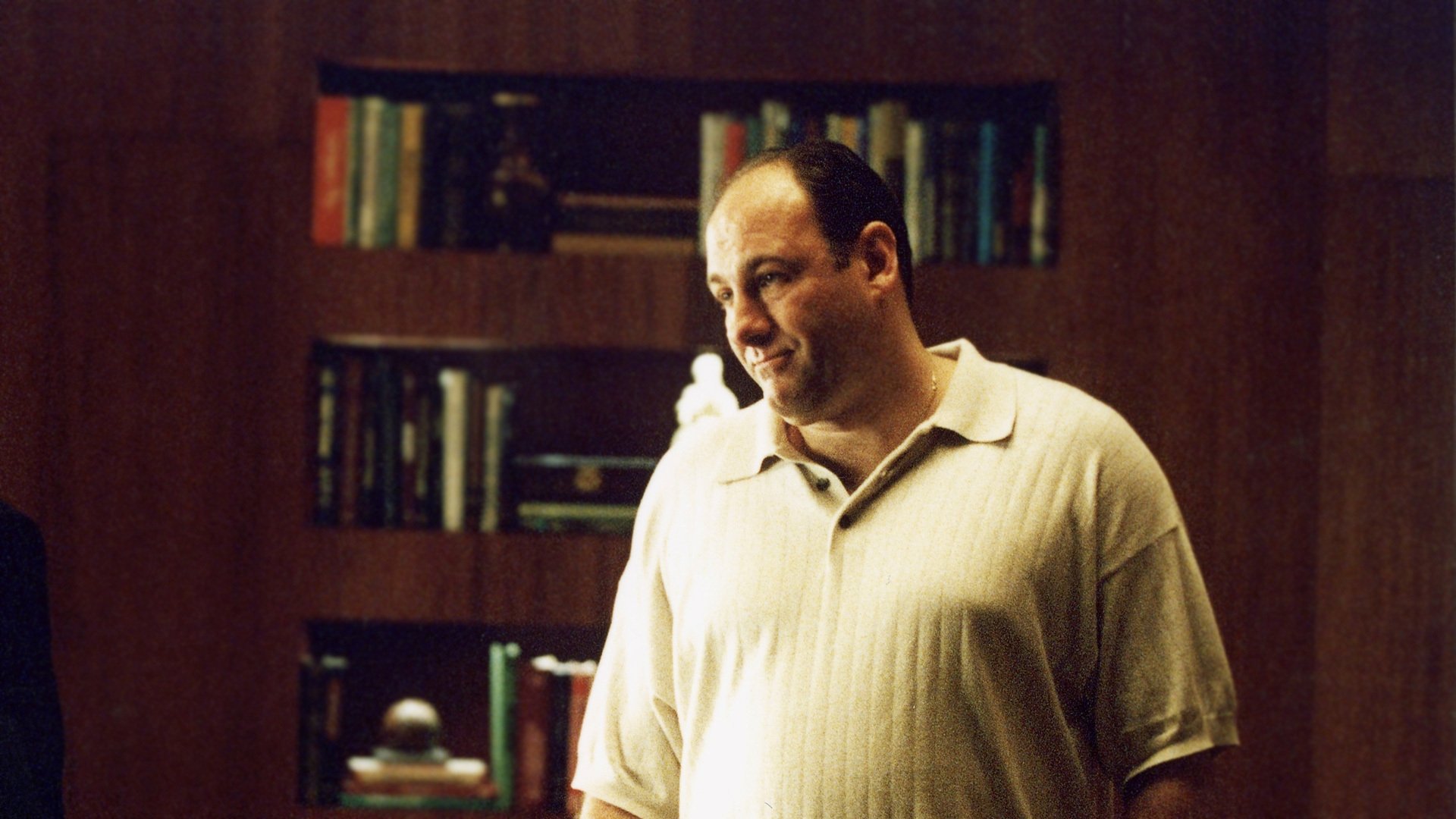 Backdrop poster for The Sopranos (1999)