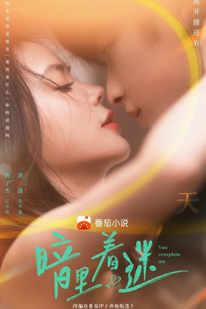Poster for You Complete Me