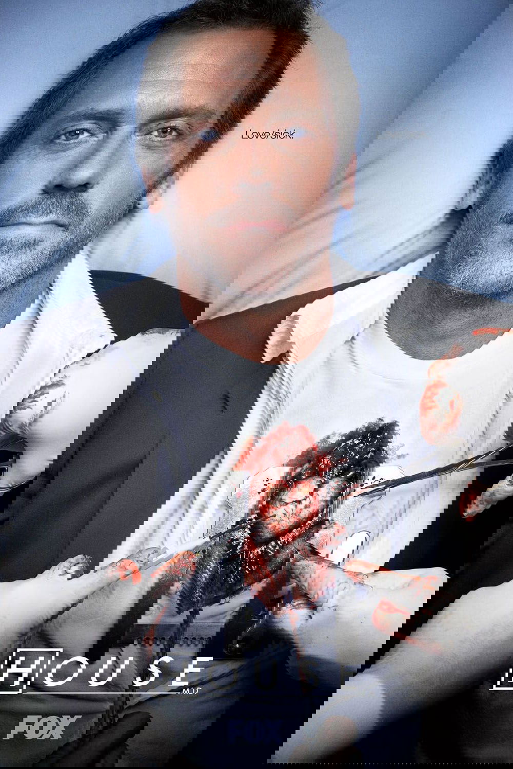 Poster for House