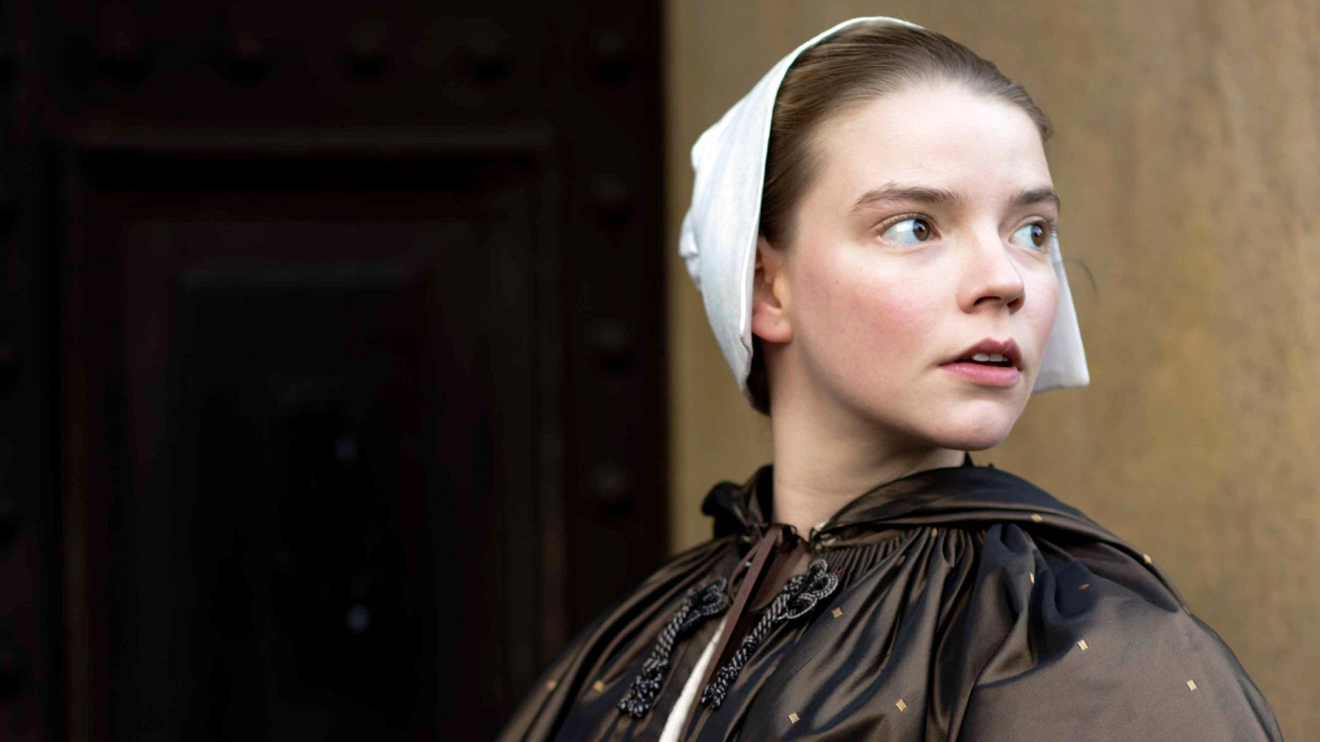 Backdrop poster for The Miniaturist (2017)