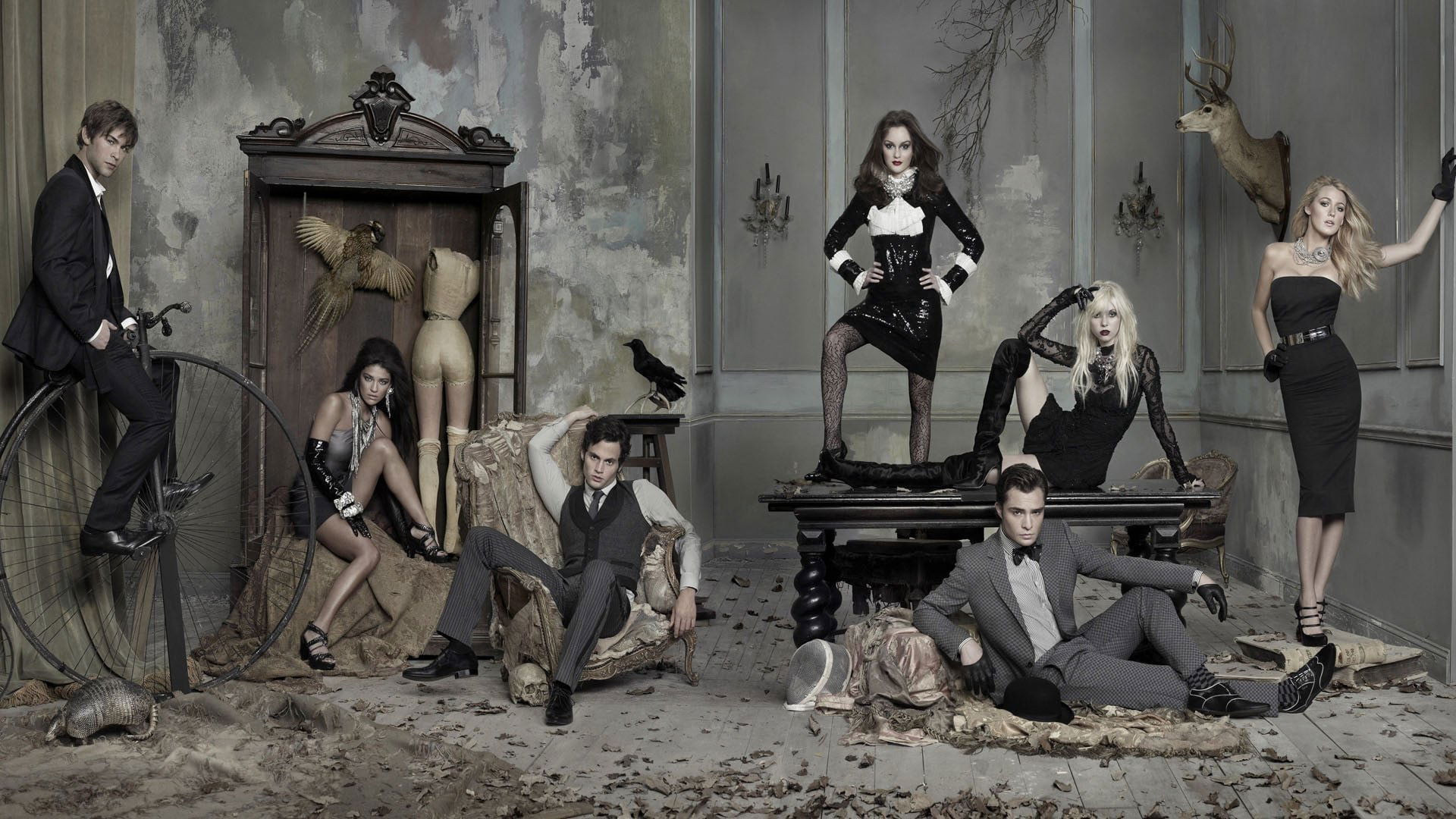 Backdrop poster for undefined