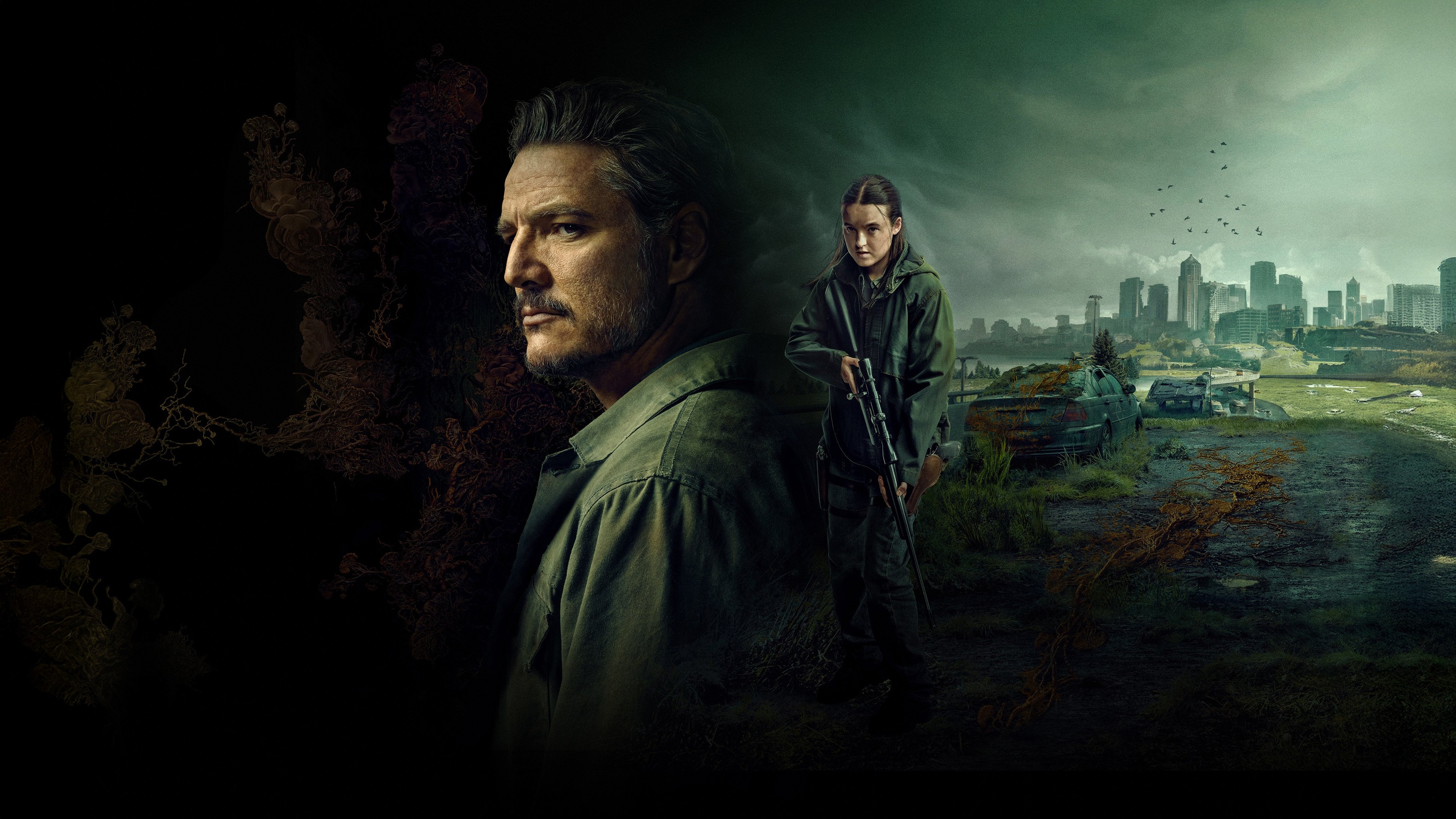 Backdrop poster for undefined