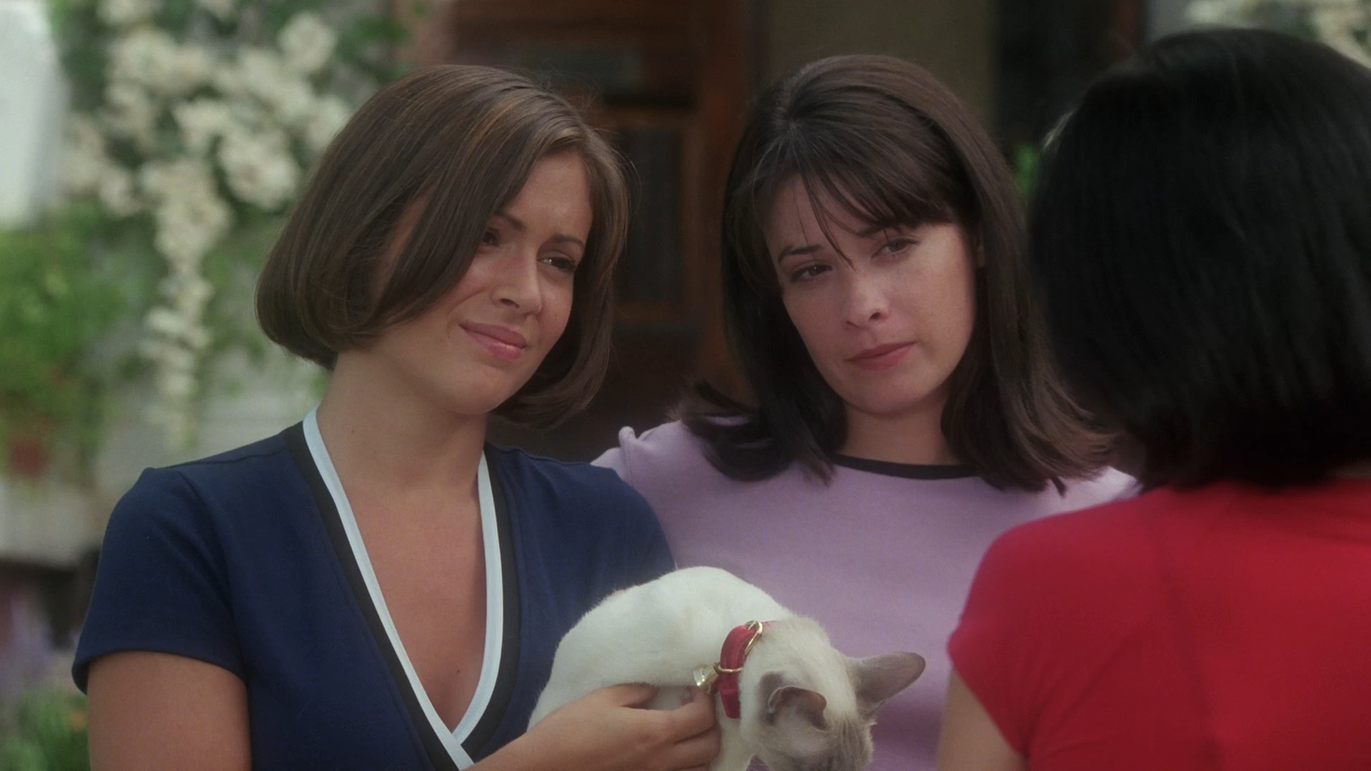 Backdrop poster for Charmed (1998)