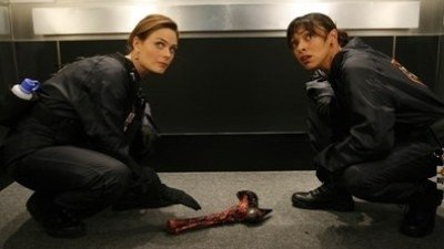 Backdrop poster for Bones (2005)