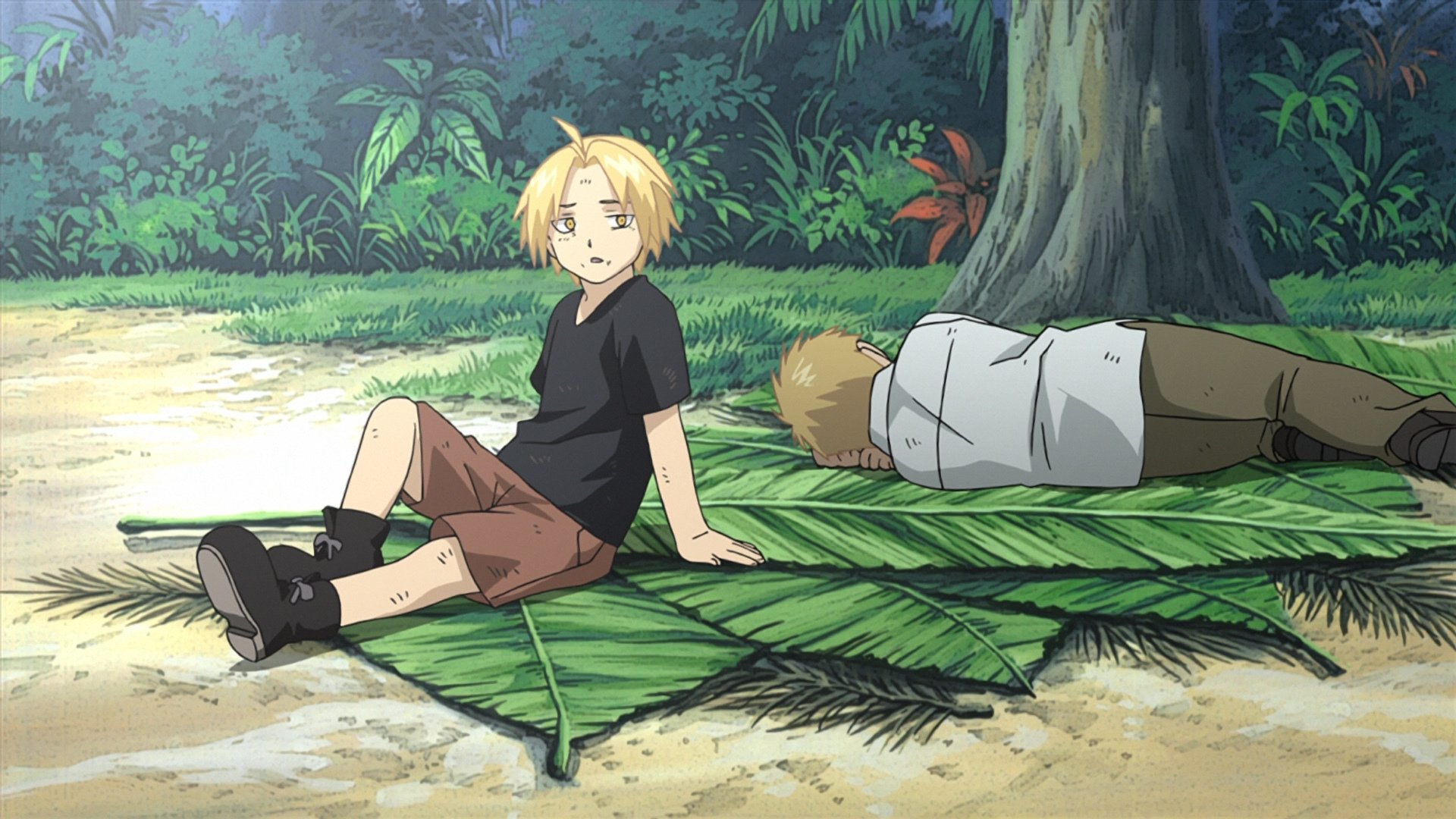 Backdrop poster for Fullmetal Alchemist: Brotherhood (2009)