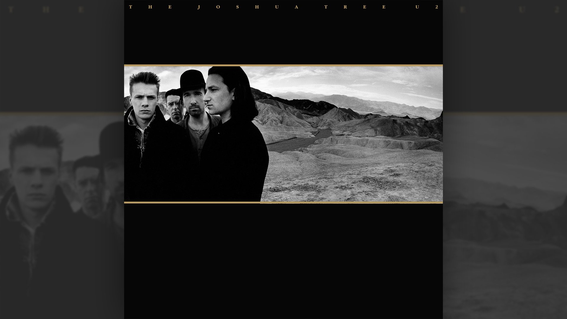 Backdrop poster for undefined