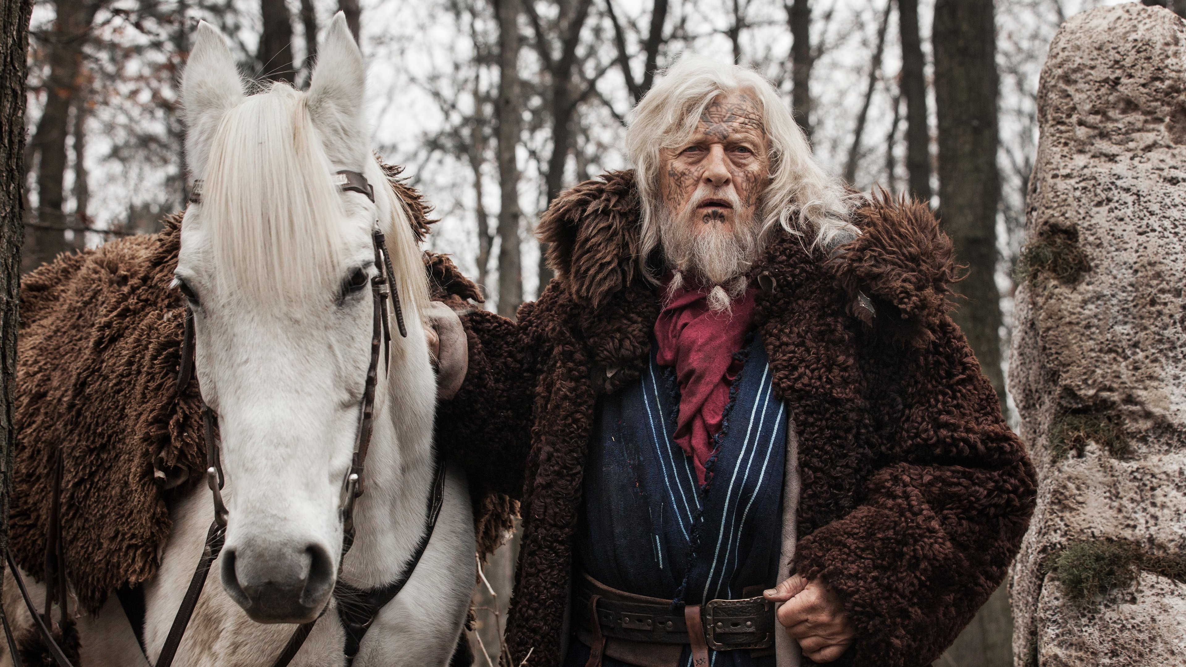 Backdrop poster for The Last Kingdom (2015)