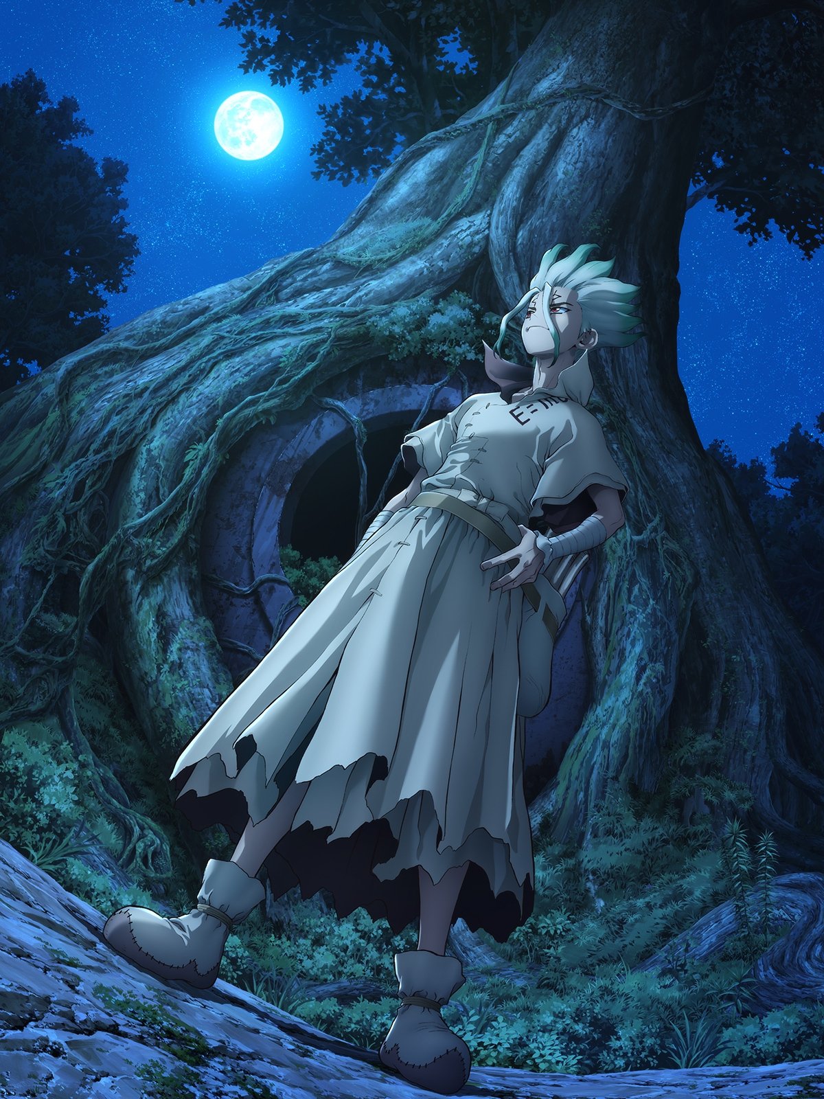 Poster for Dr. STONE