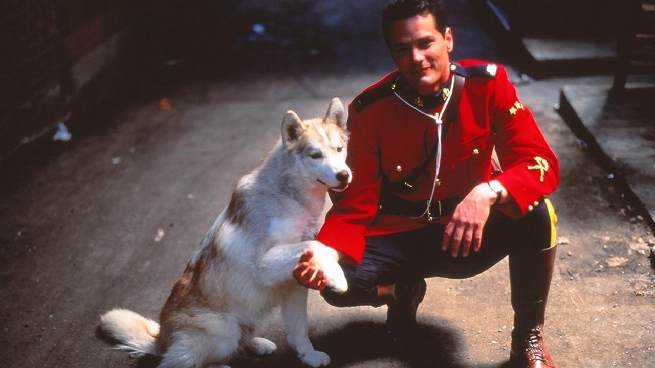 Backdrop poster for Due South (1994)