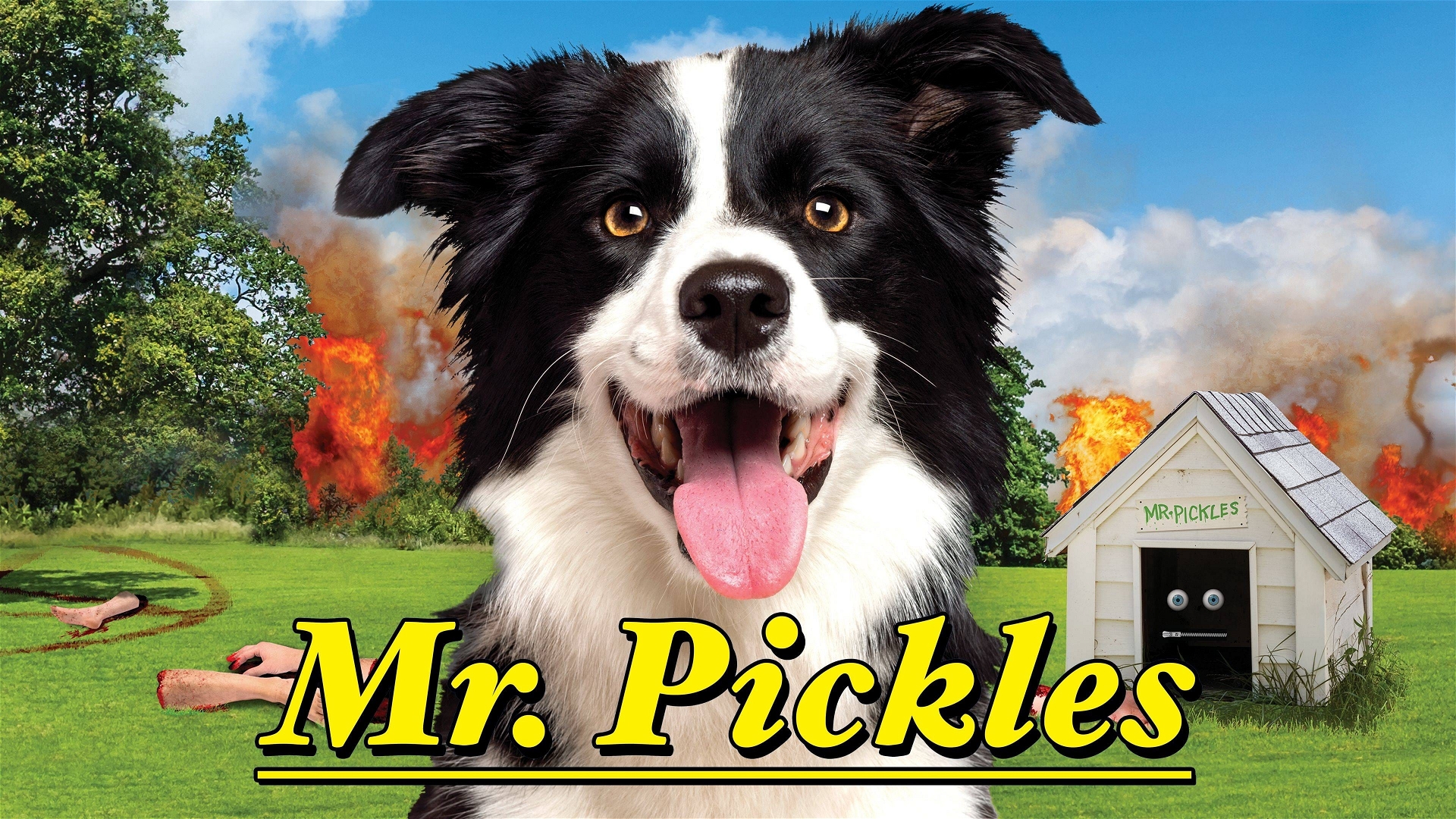 Review: Mr. Pickles Talent Show - Bubbleblabber