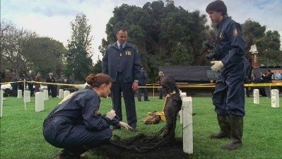 Backdrop poster for Bones (2005)
