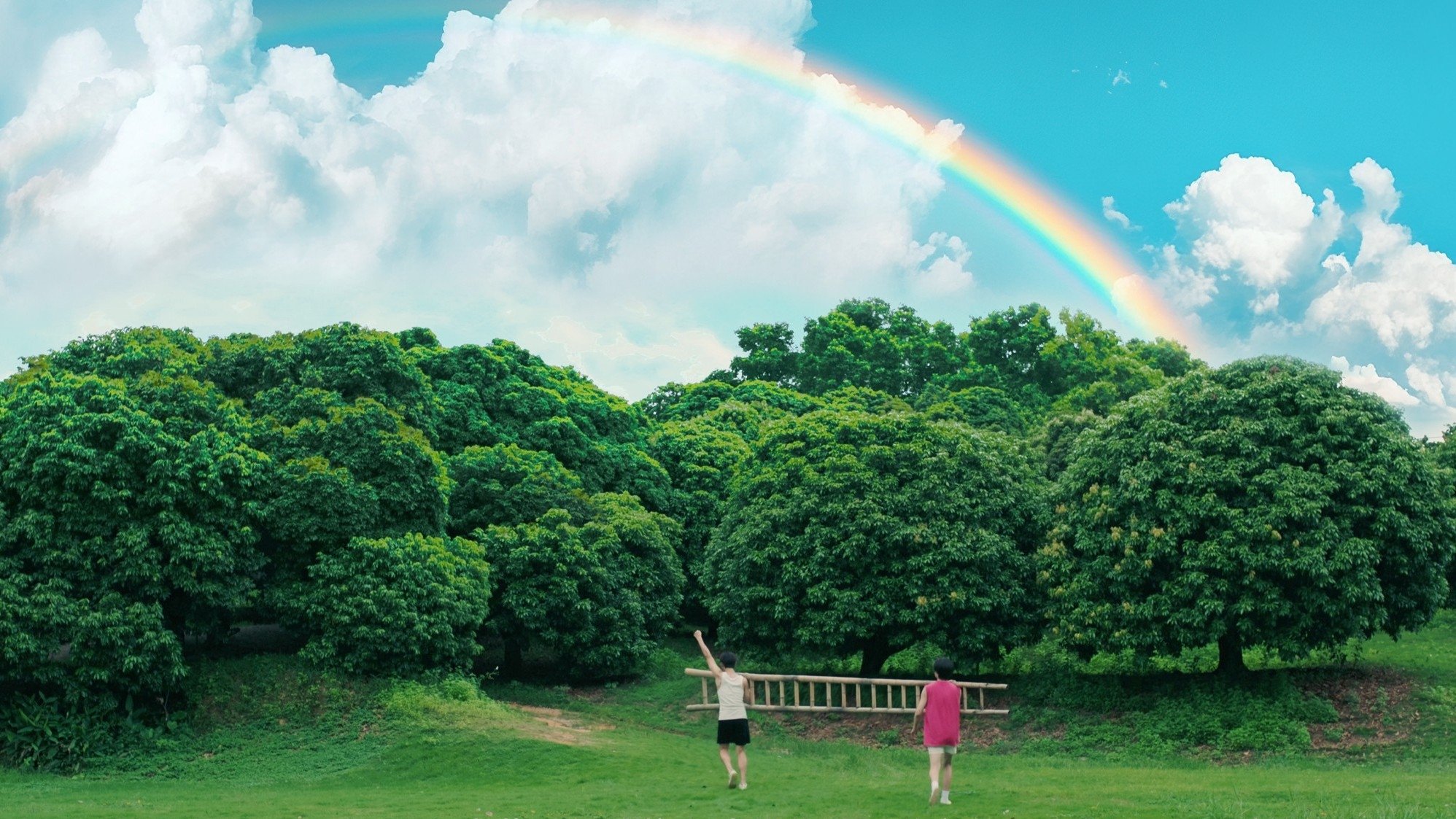 Backdrop poster for Secrets Happened on the Litchi Island (2025)