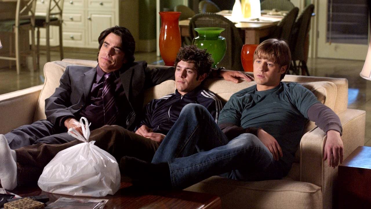 Backdrop poster for The O.C. (2003)