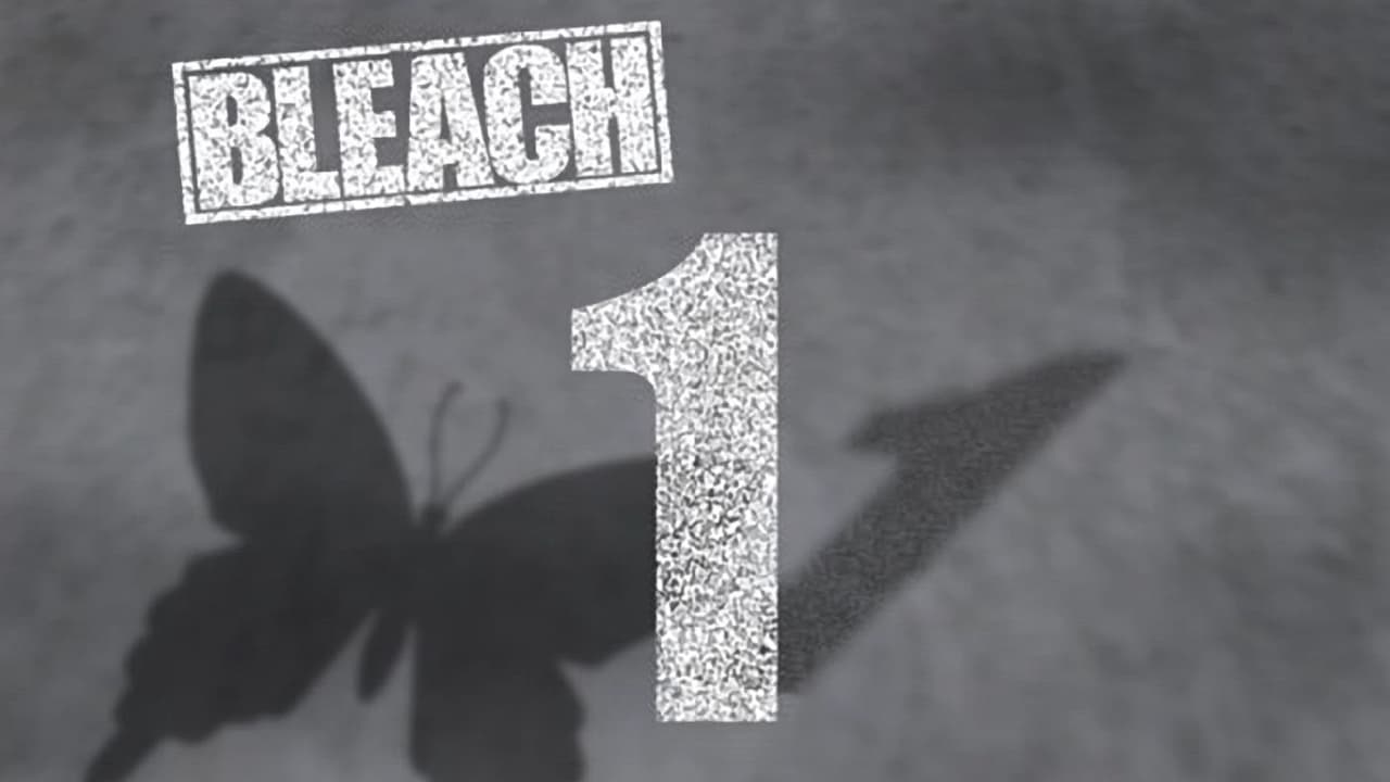 Backdrop poster for Bleach (2004)