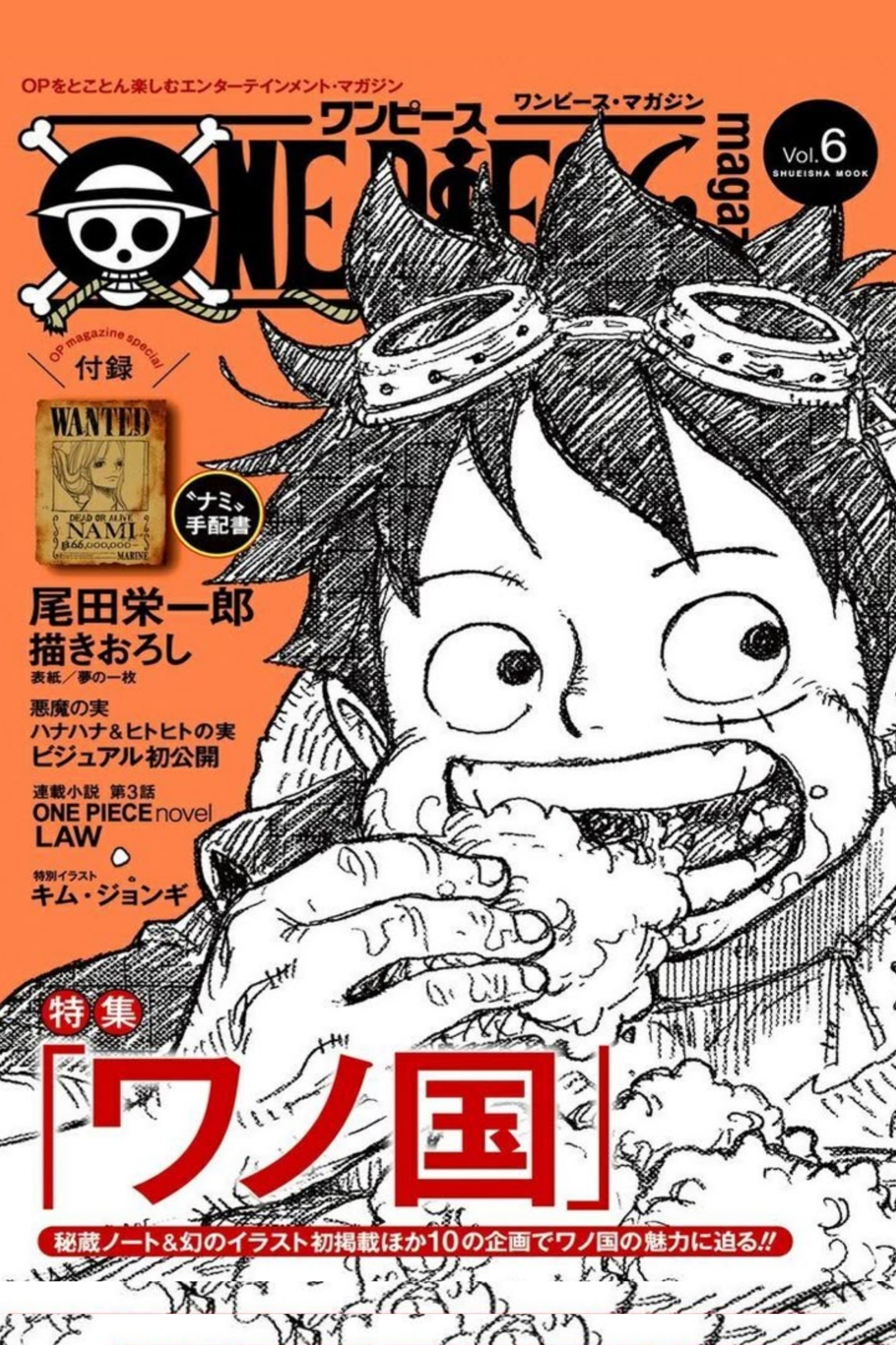 Poster for One Piece
