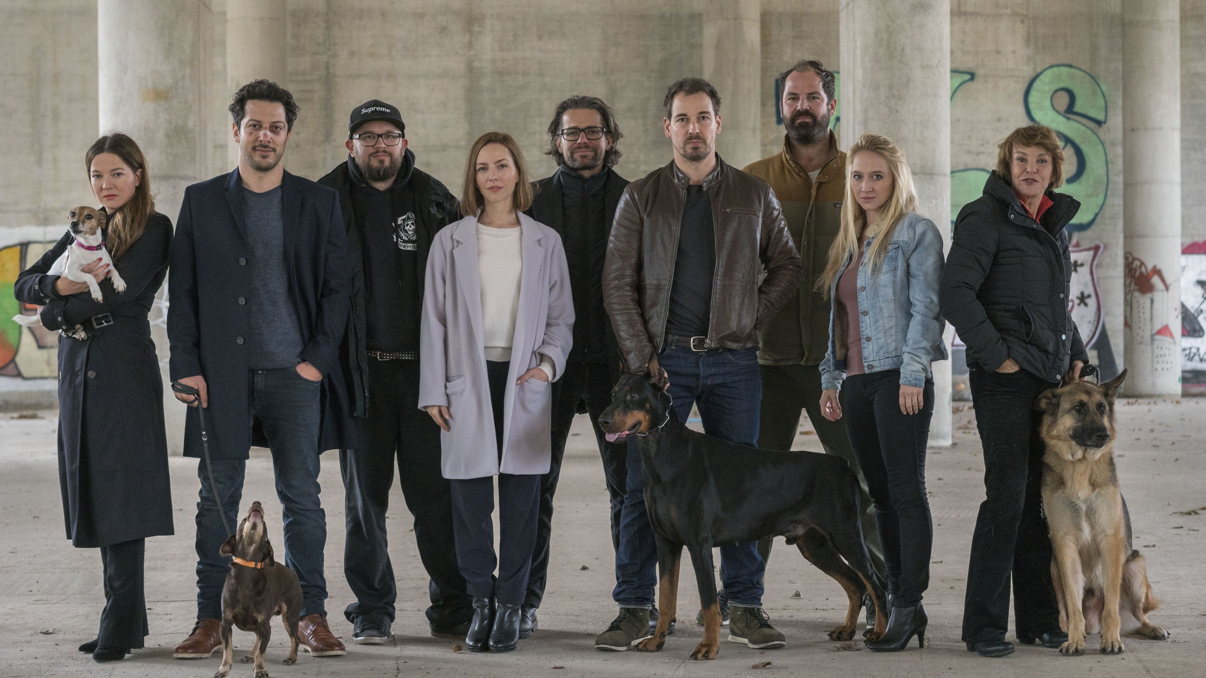 Backdrop poster for Dogs of Berlin