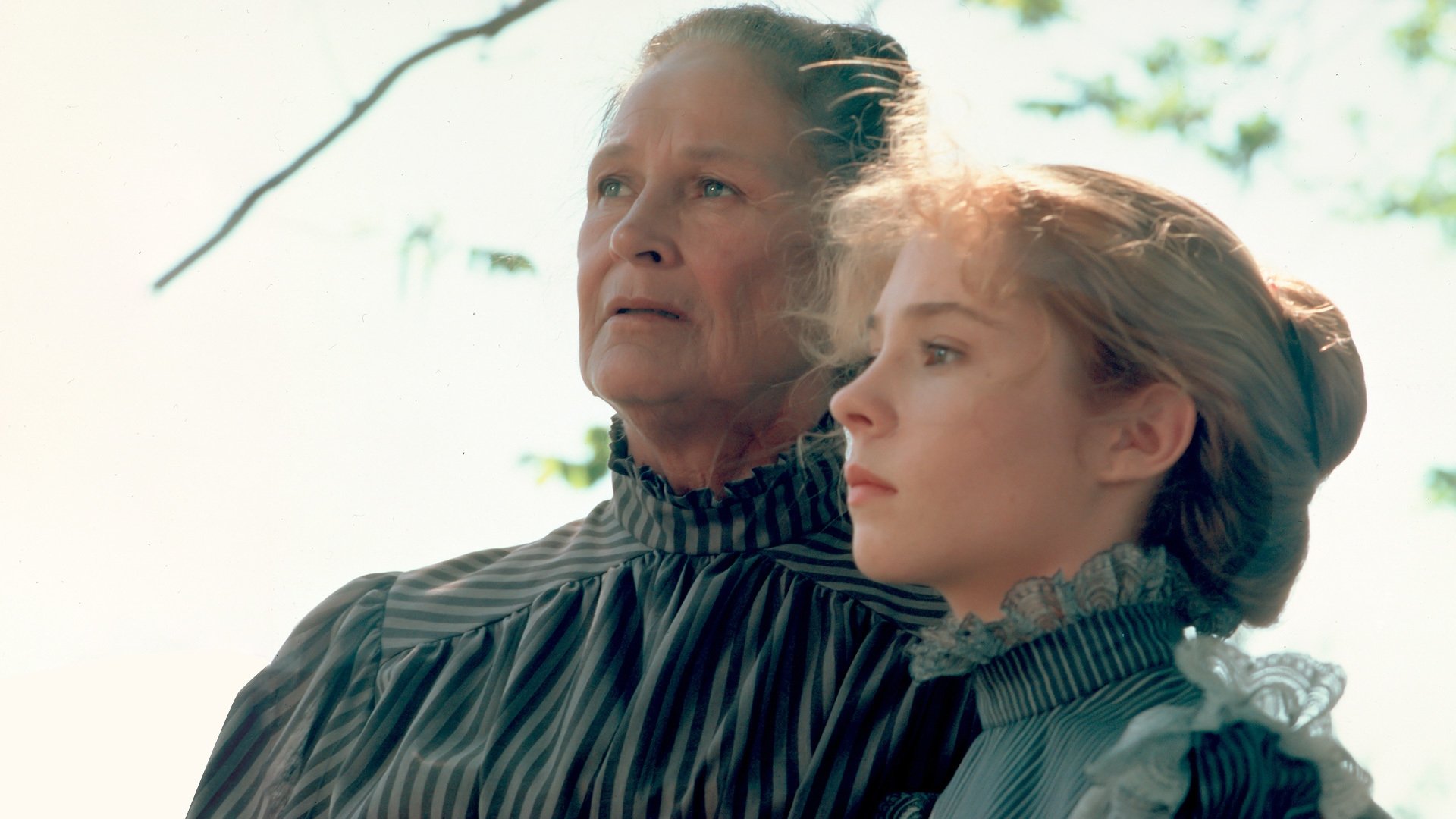 Backdrop poster for Anne of Green Gables (1985)