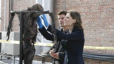 Backdrop poster for Bones (2005)