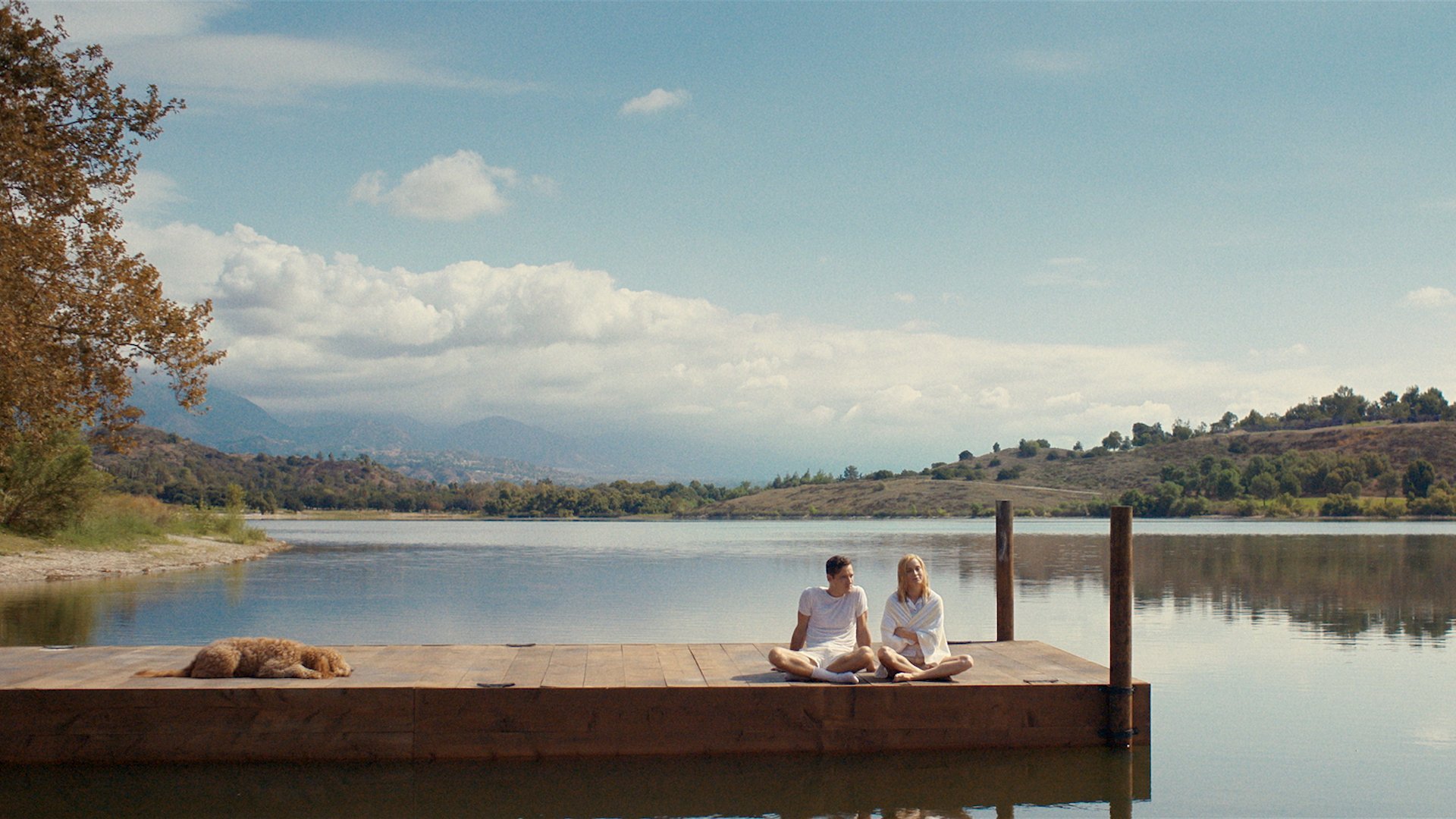 Backdrop poster for undefined