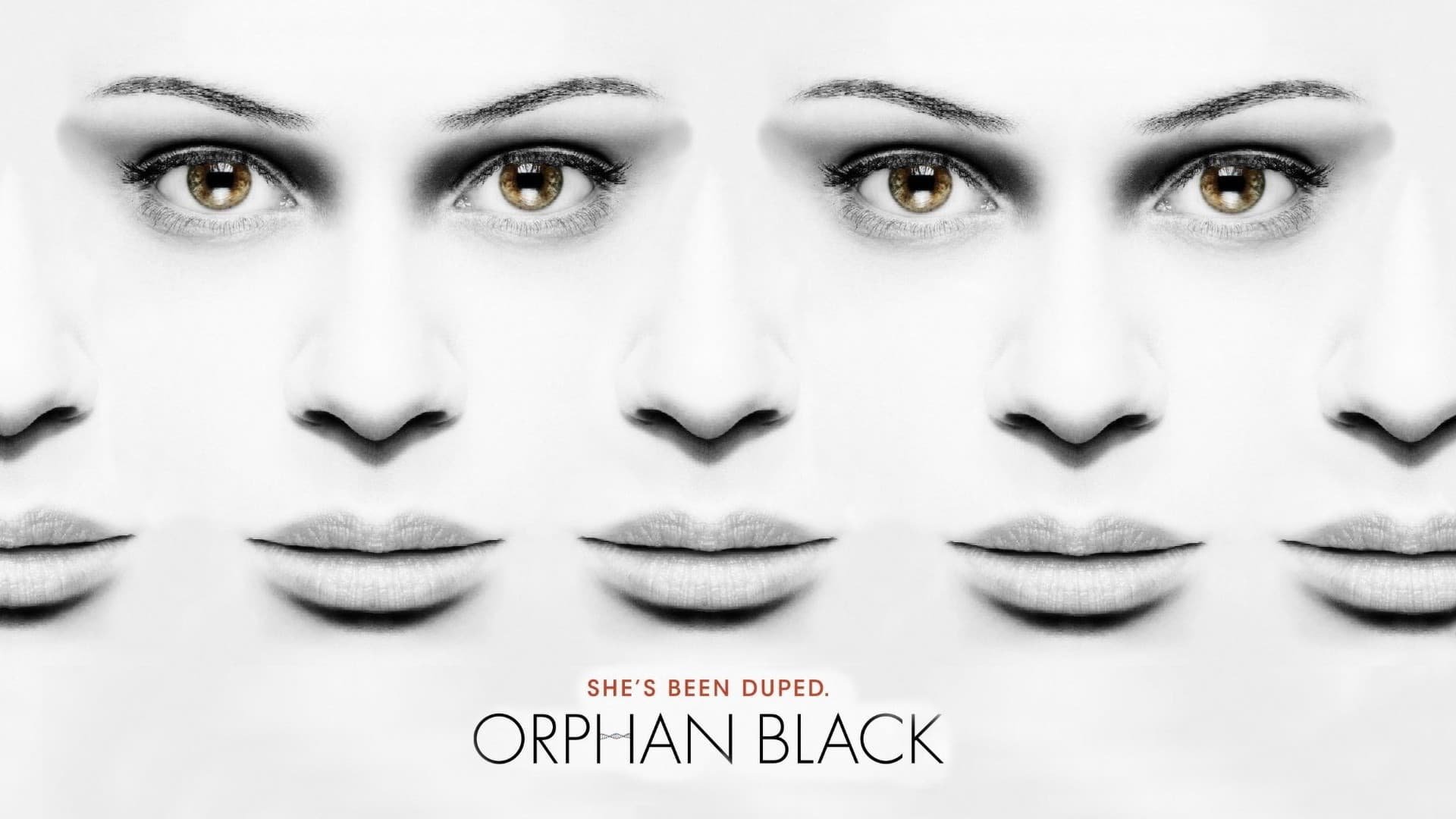 Backdrop poster for undefined