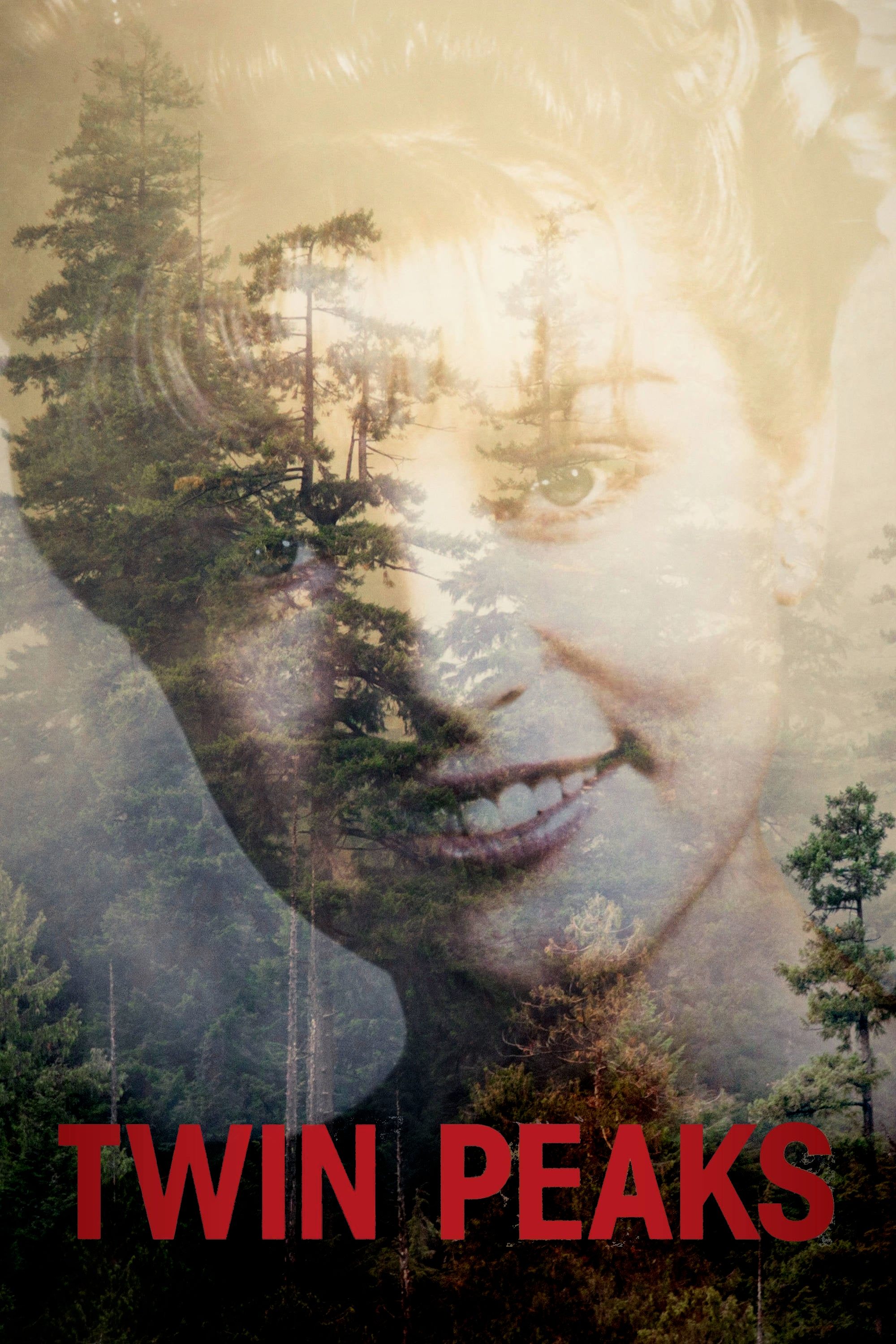 Poster for Twin Peaks
