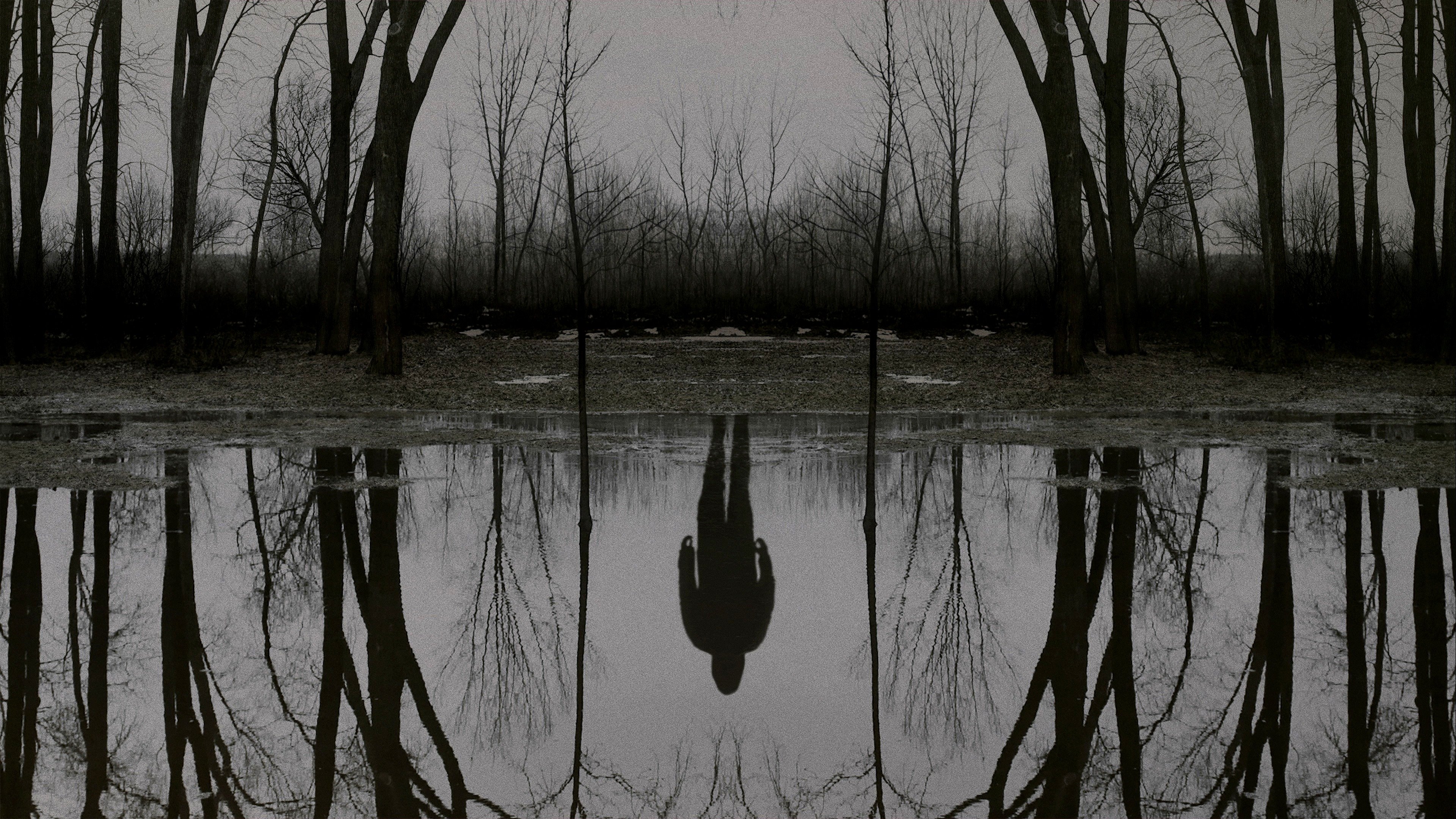 Backdrop poster for The Outsider (2020)