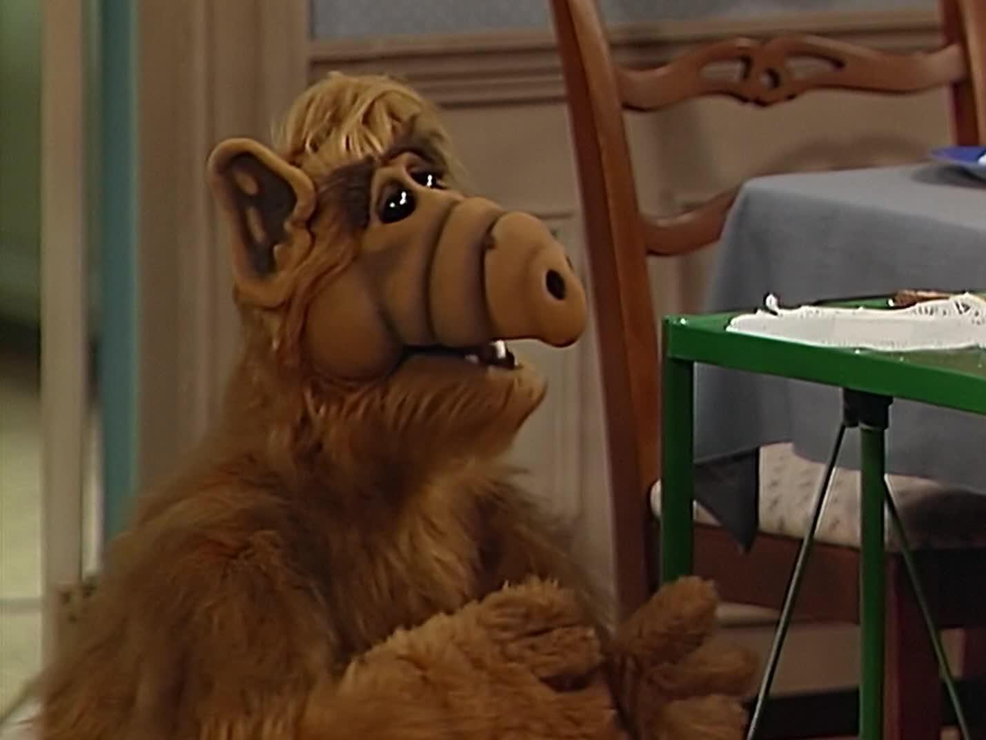 Backdrop poster for ALF (1986)