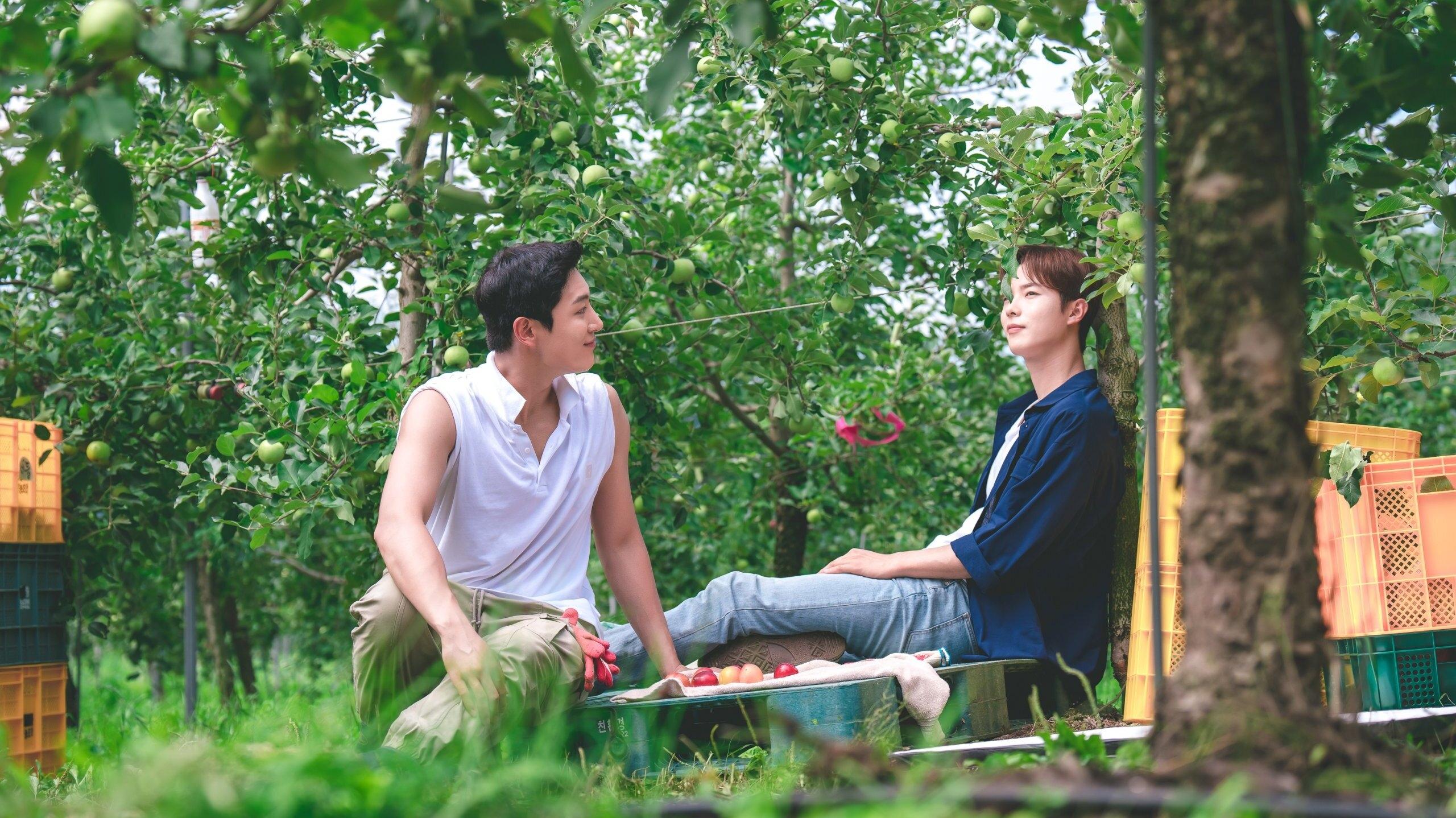 Backdrop poster for Love Tractor (2023)