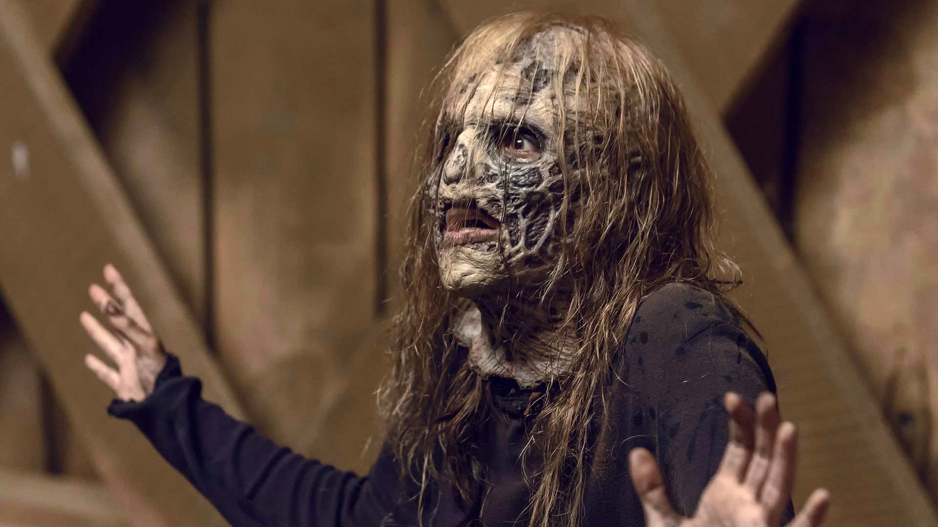 Backdrop poster for The Walking Dead (2010)