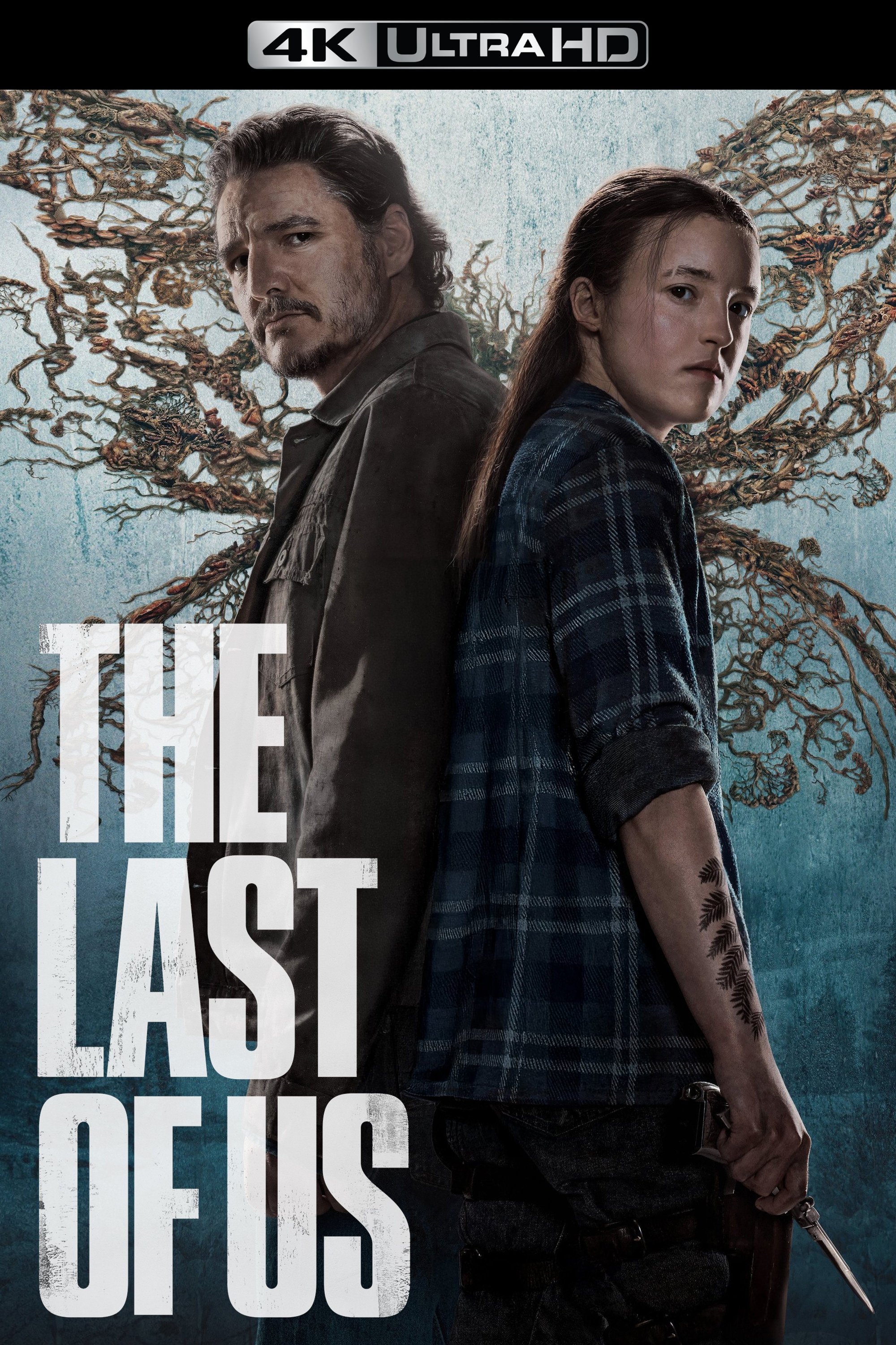 Poster for The Last of Us