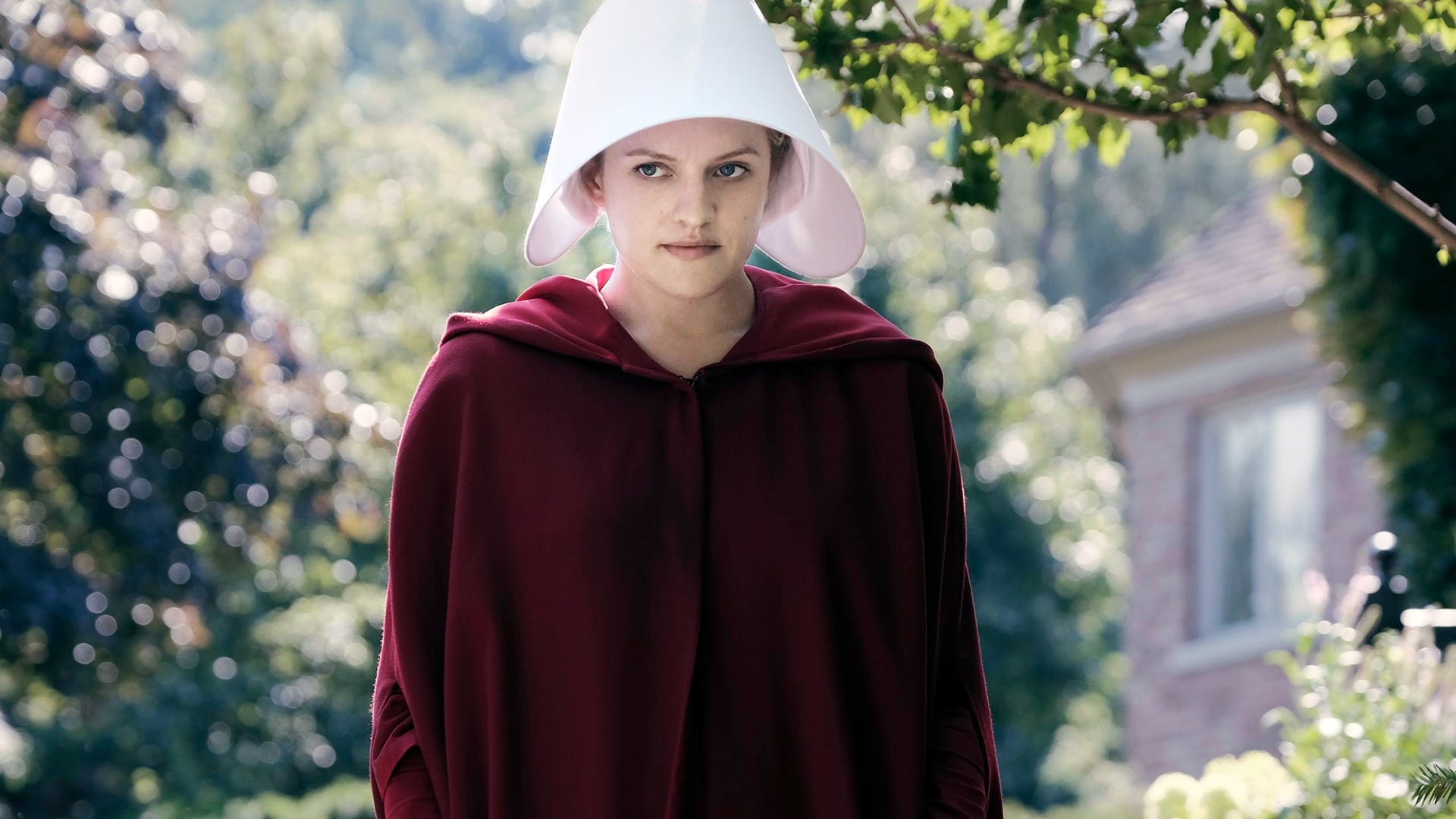 Backdrop poster for The Handmaid's Tale (2017)