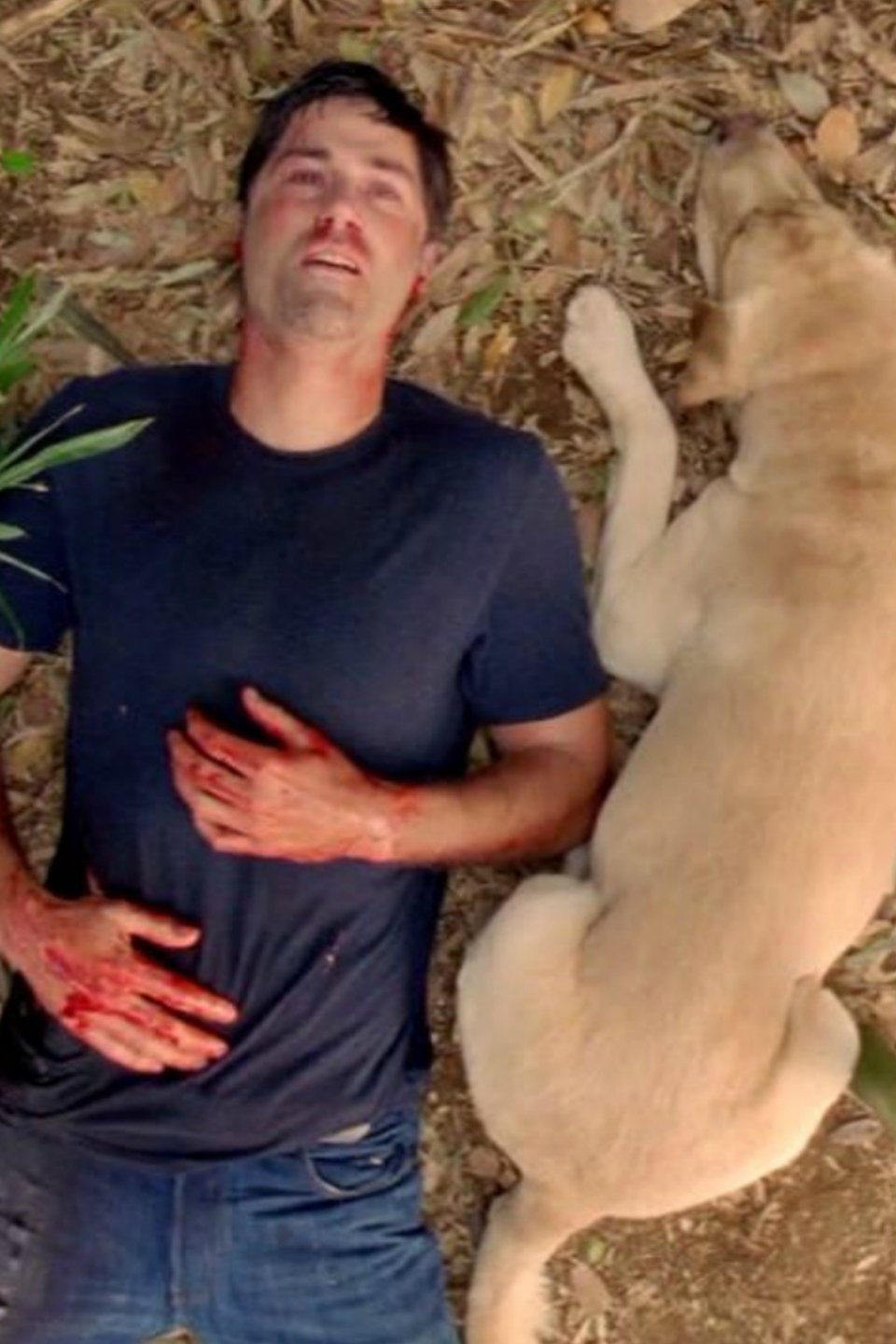 Poster for Lost