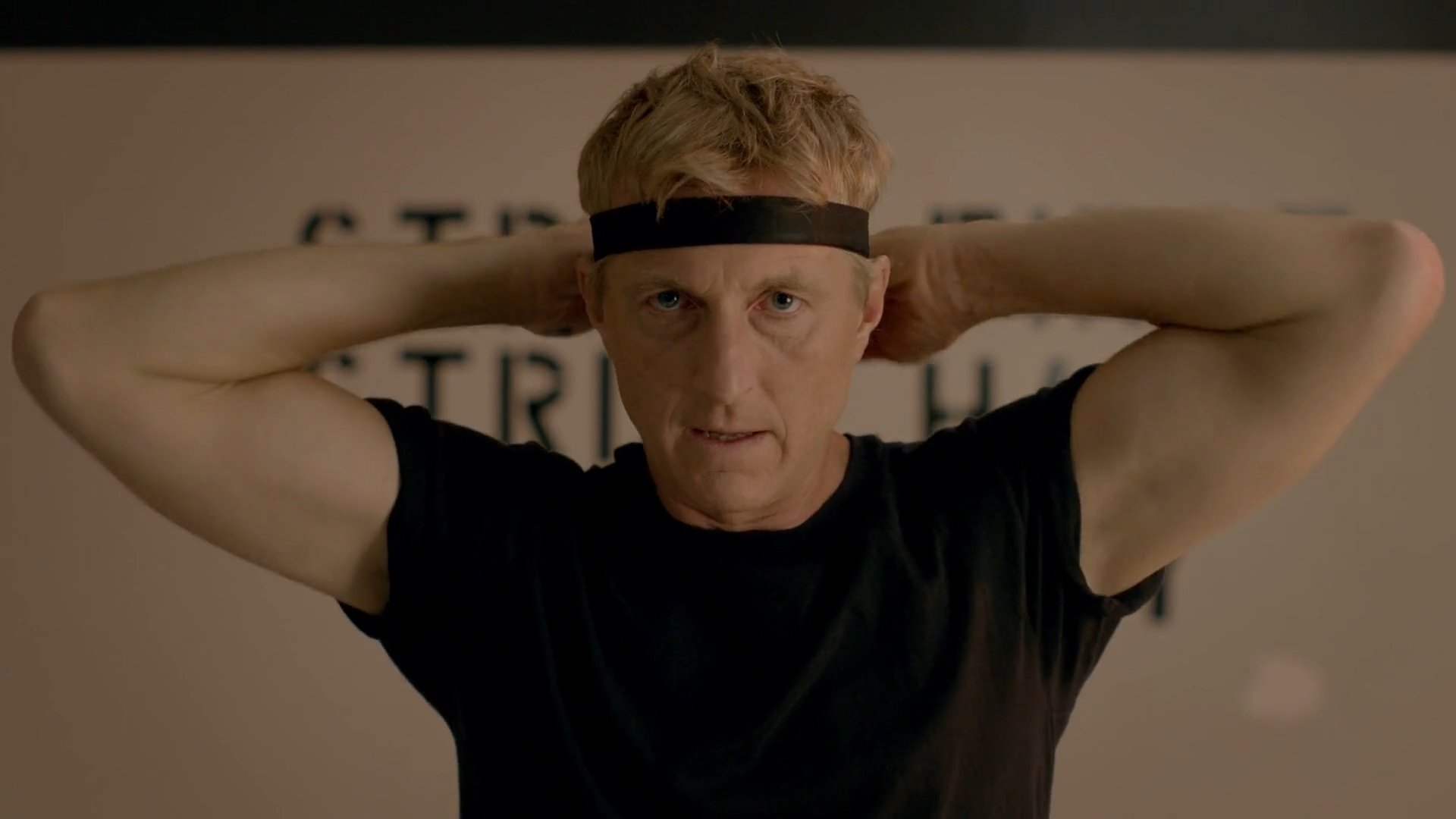 Backdrop poster for Cobra Kai (2018)