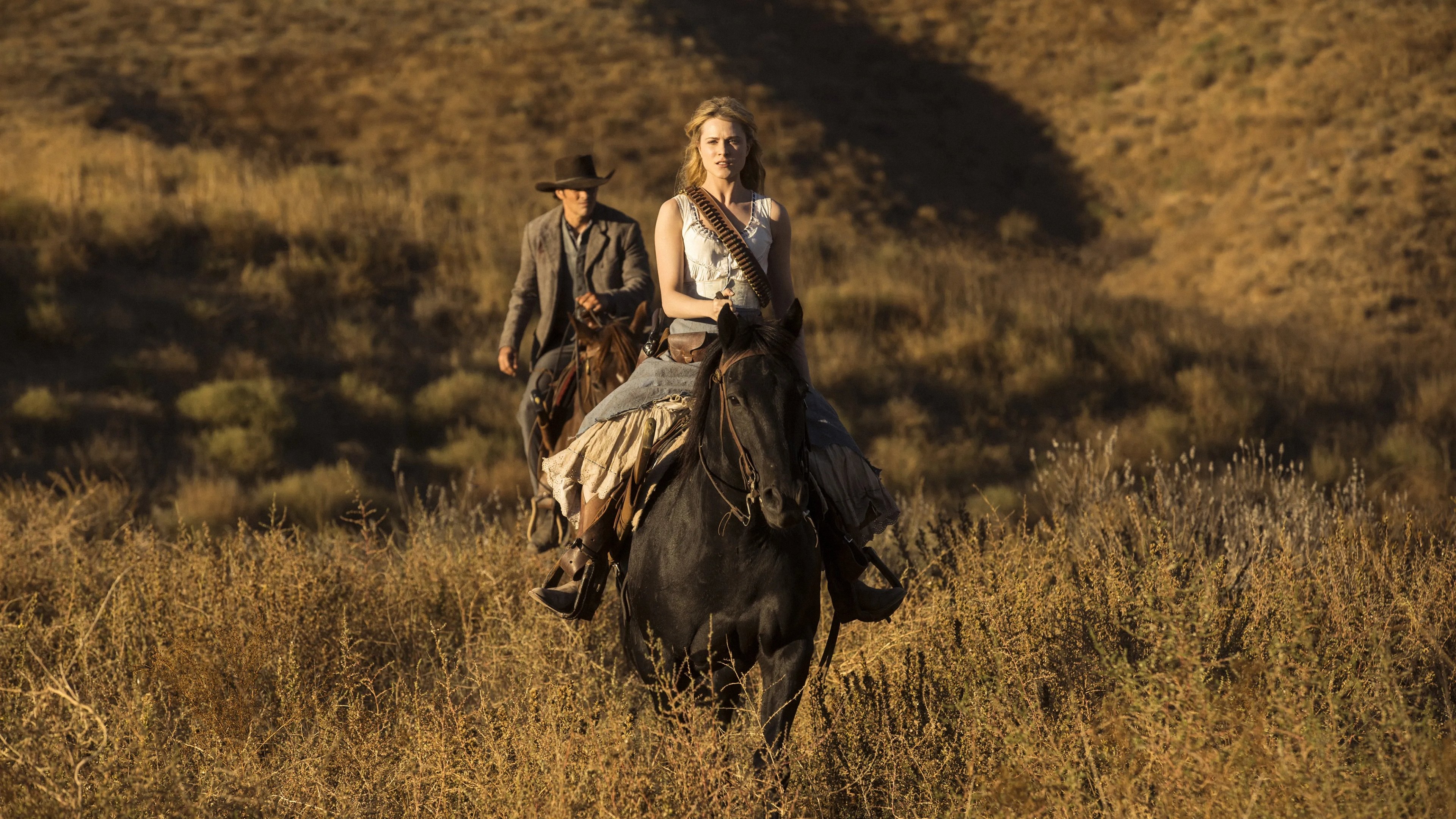 Backdrop poster for Westworld (2016)