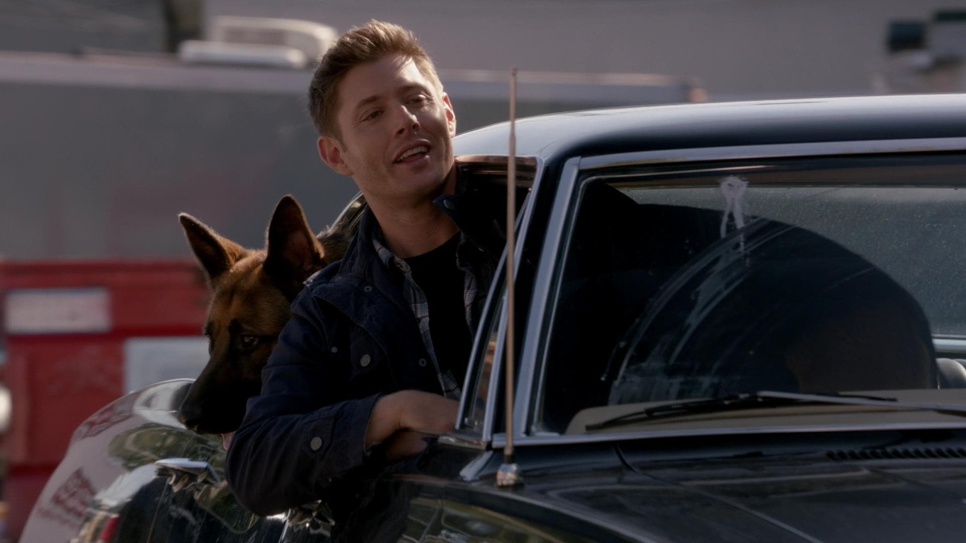 Backdrop poster for Supernatural (2005)