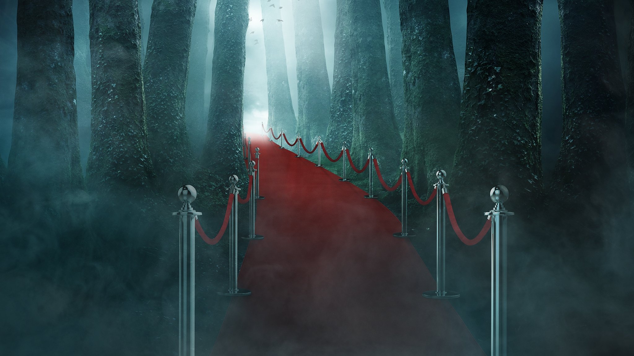 Backdrop poster for undefined