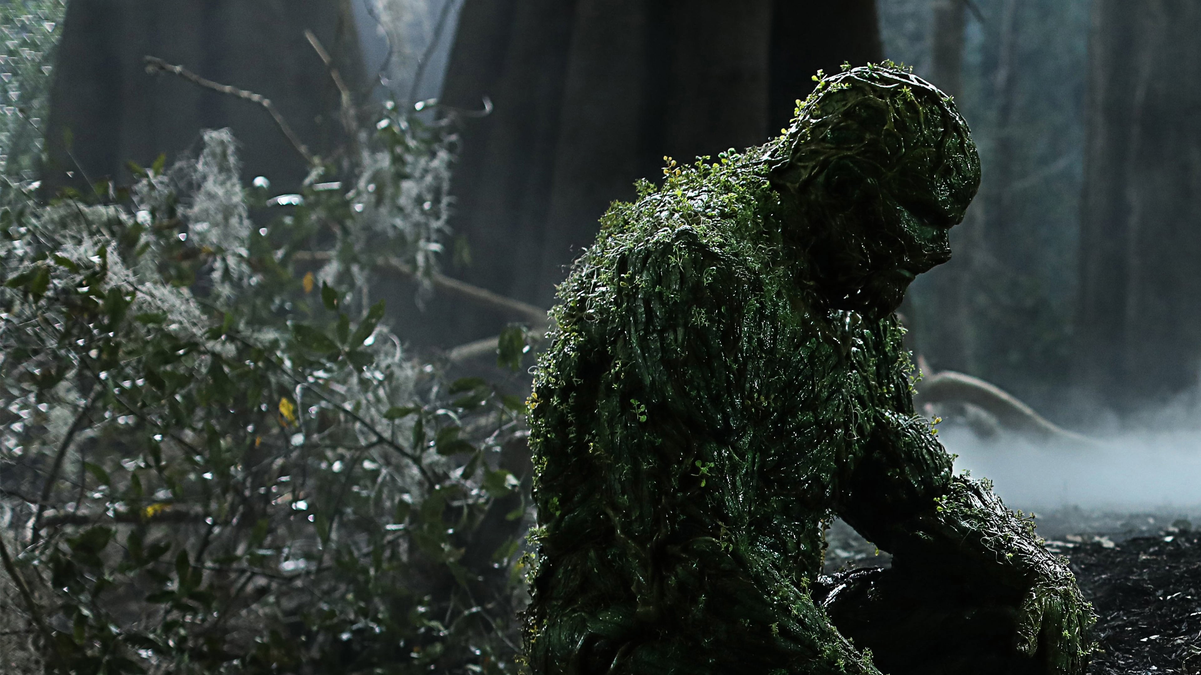 Backdrop poster for Swamp Thing (2019)