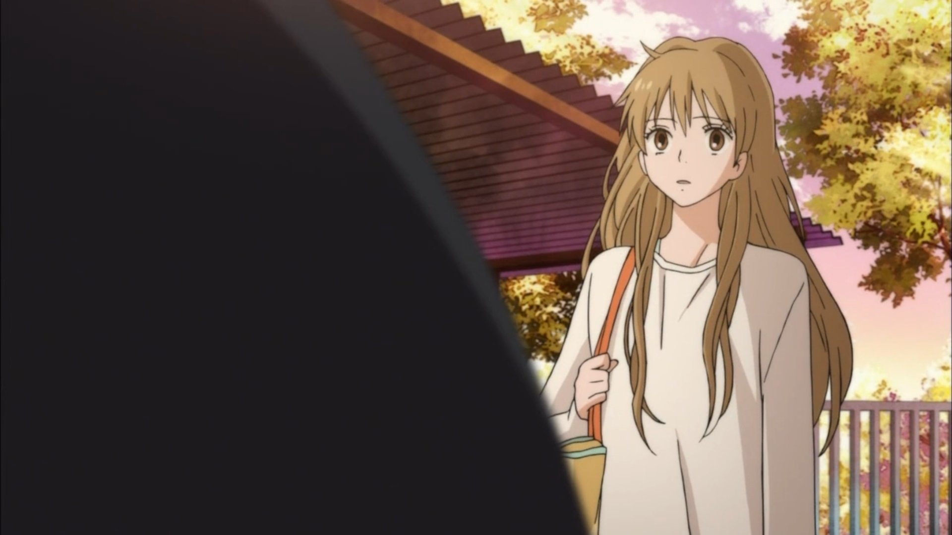 Backdrop poster for From Me to You: Kimi ni Todoke (2009)