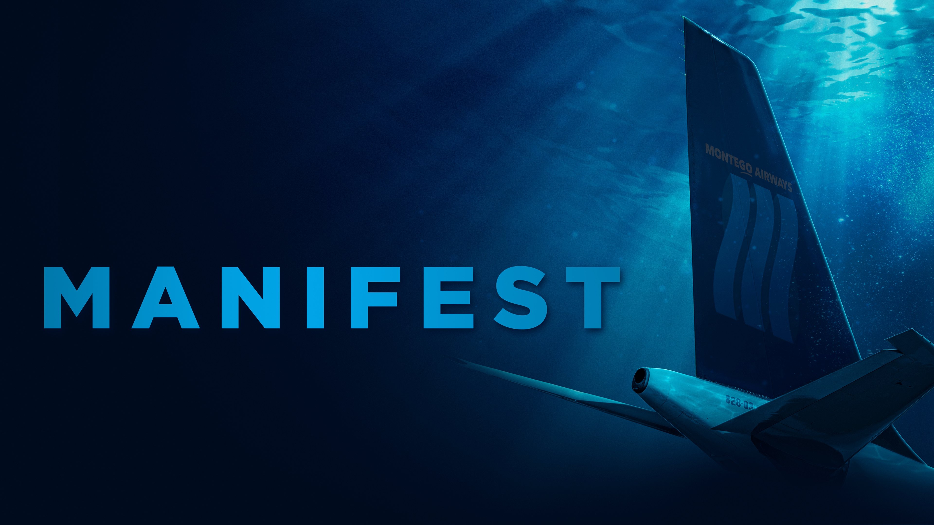 Backdrop poster for undefined