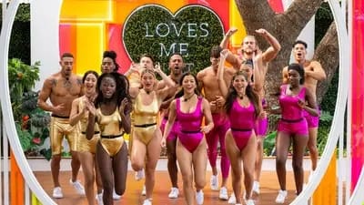 Backdrop poster for Love Island (2019)