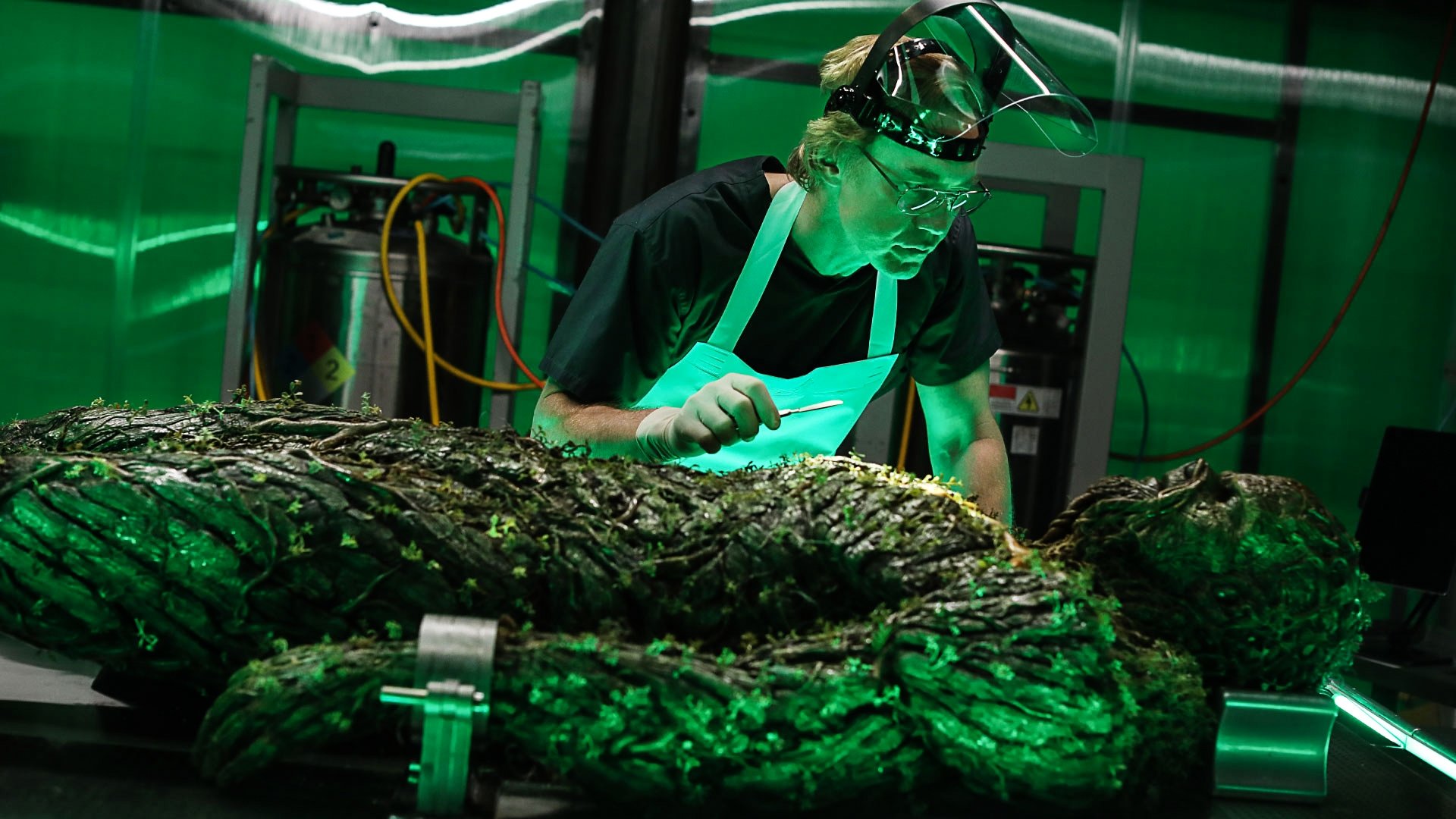 Backdrop poster for Swamp Thing (2019)