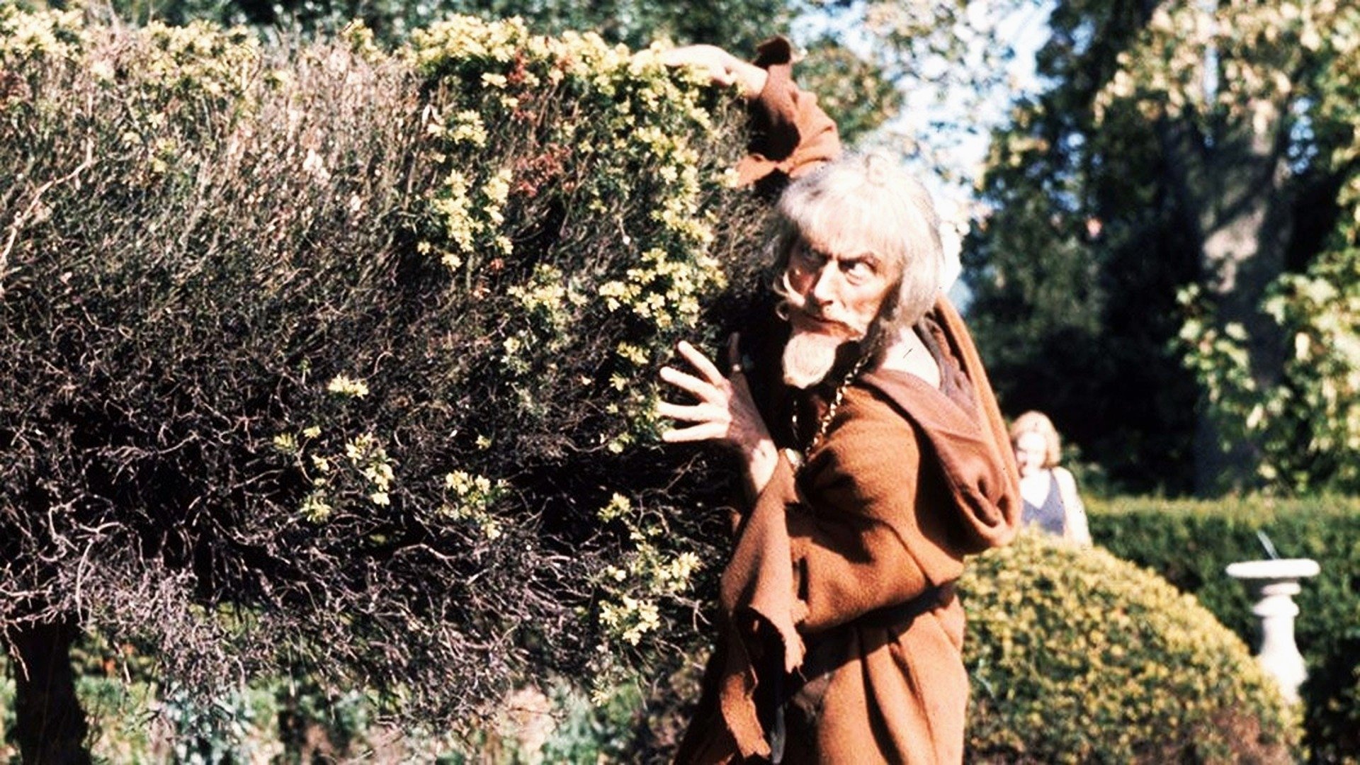 Backdrop poster for Catweazle
