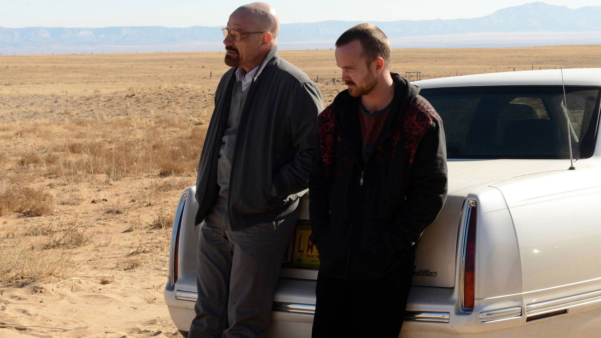 Backdrop poster for Breaking Bad (2008)