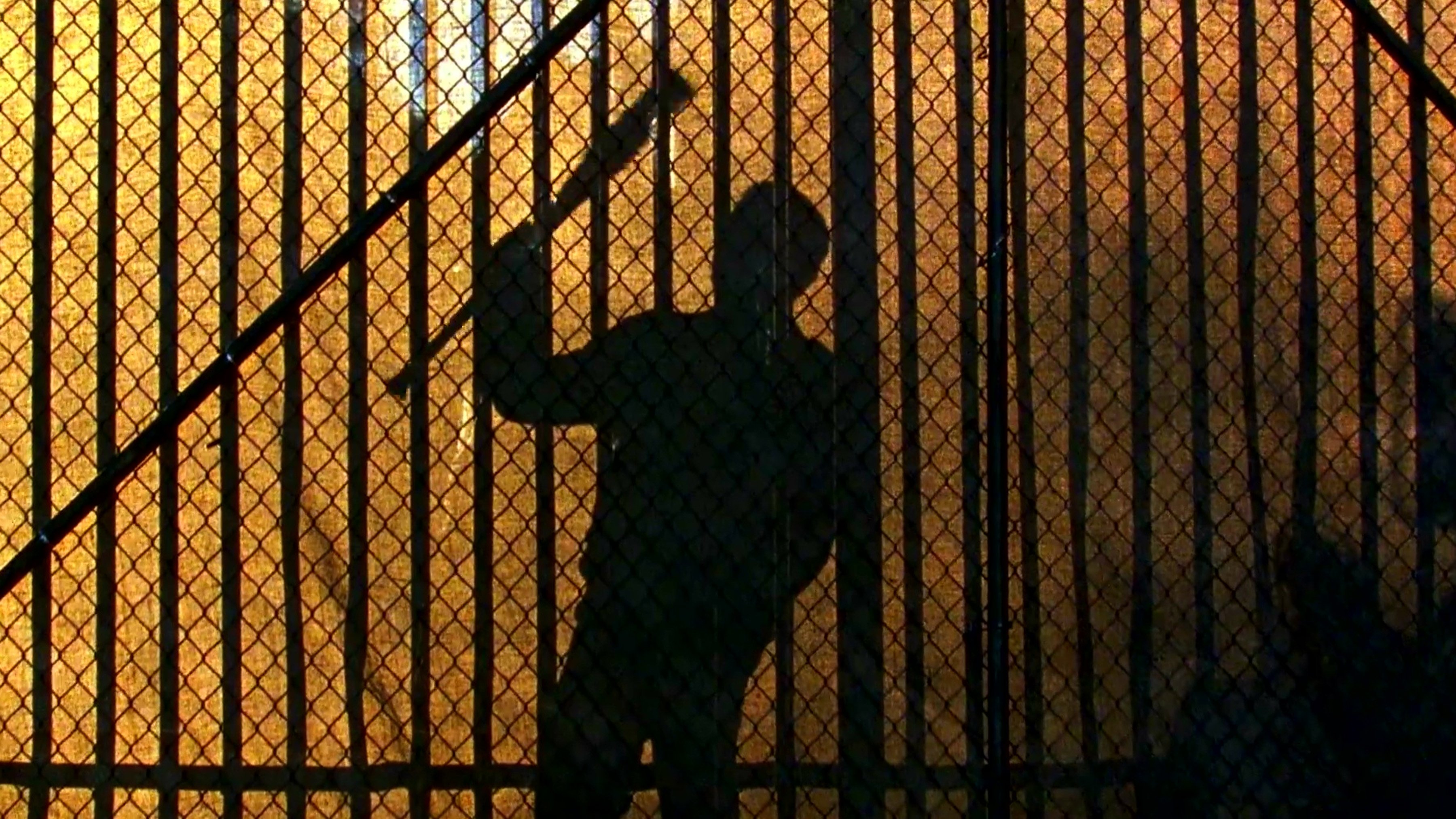 Backdrop poster for The Walking Dead (2010)