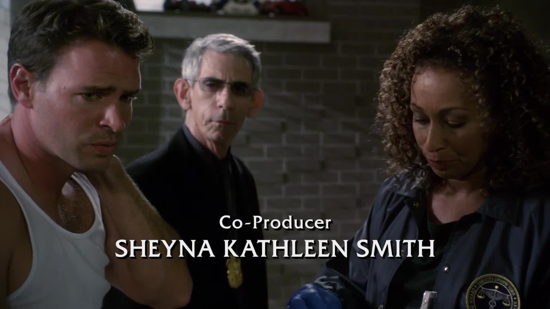 Backdrop poster for Law & Order: Special Victims Unit (1999)